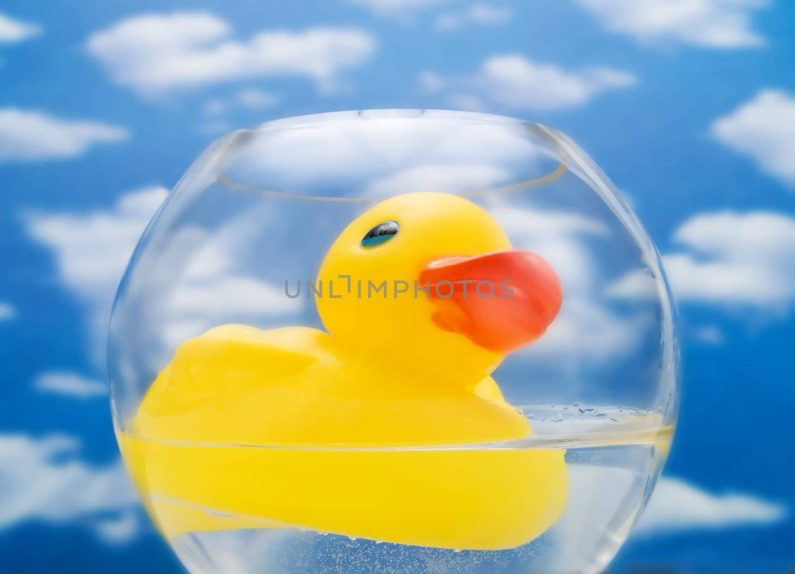 Rubber duck in water, over a blue sky