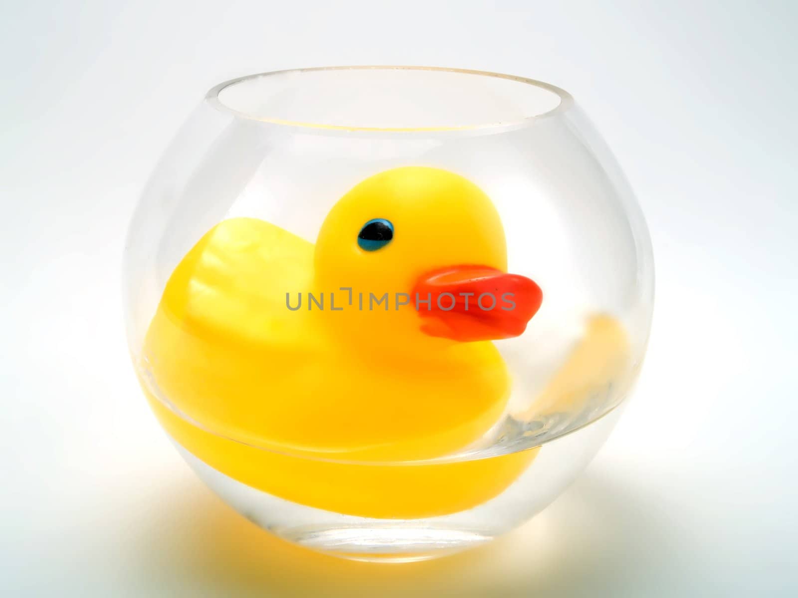 Rubber duck by henrischmit