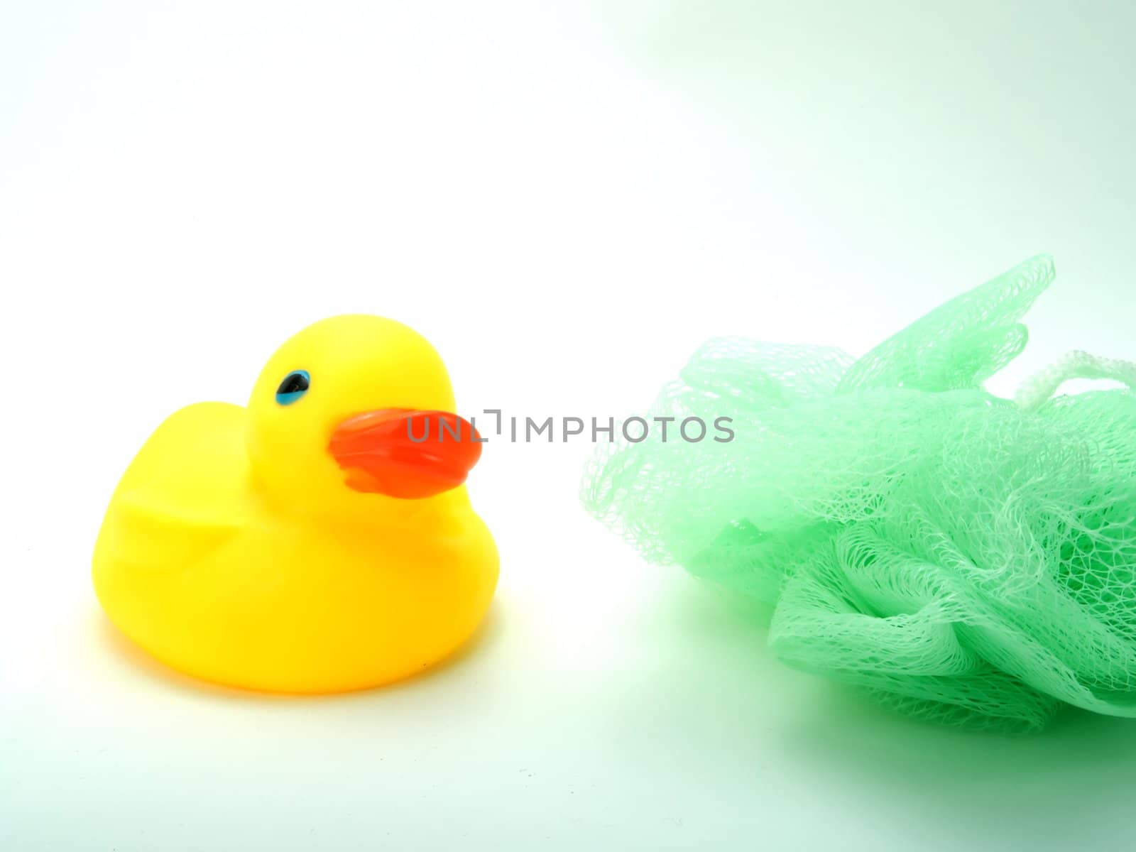 Rubber duck on a white background