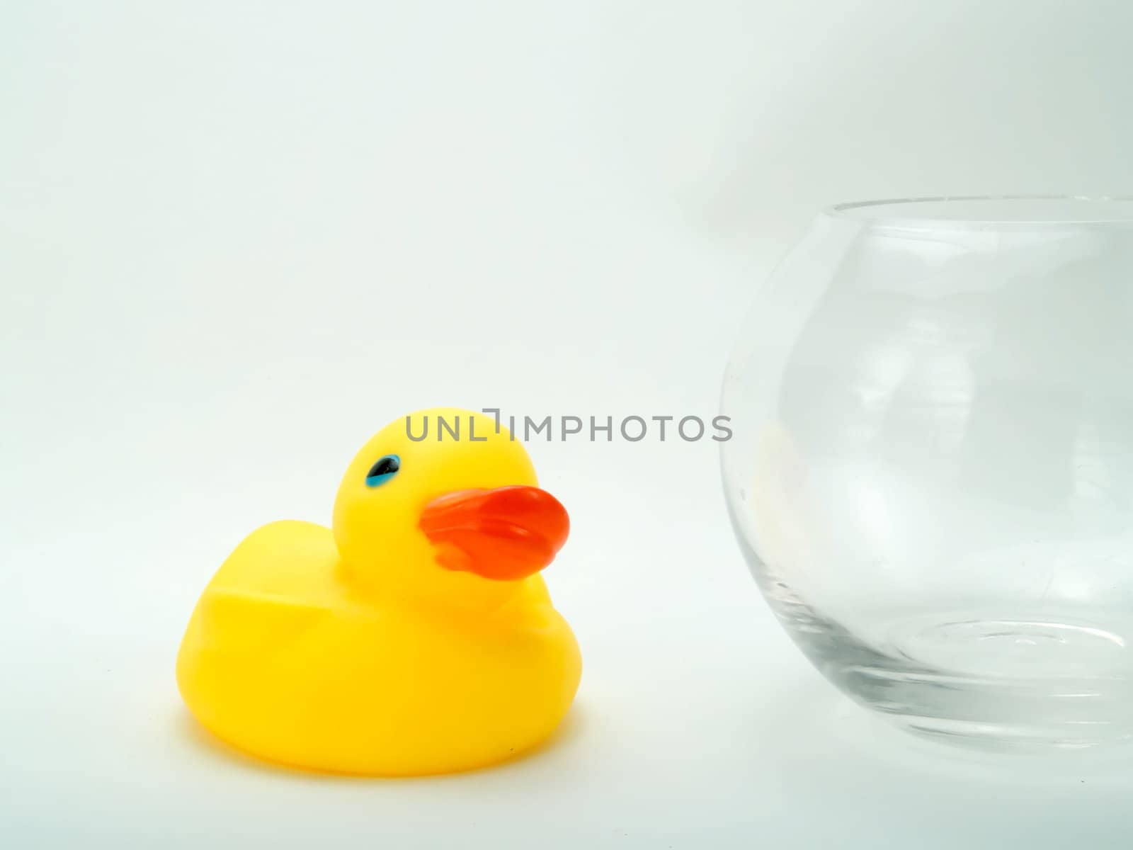 Rubber duck on a white background