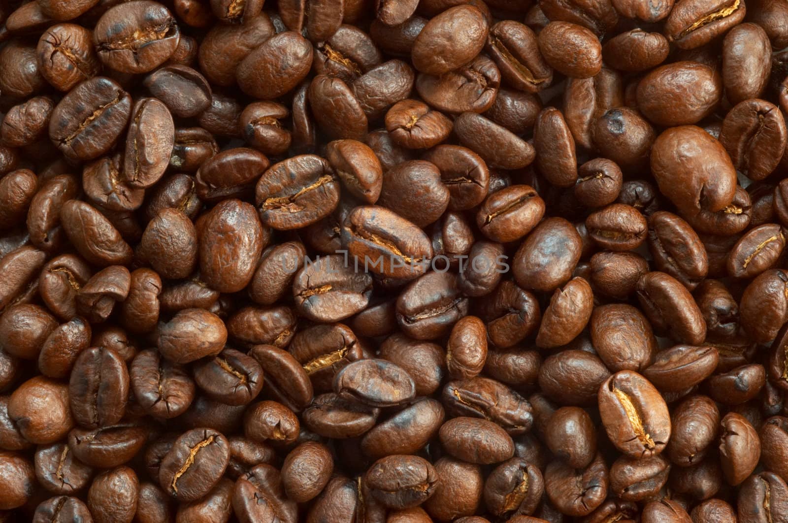 textured background: brown roasted coffee beans macro closeup