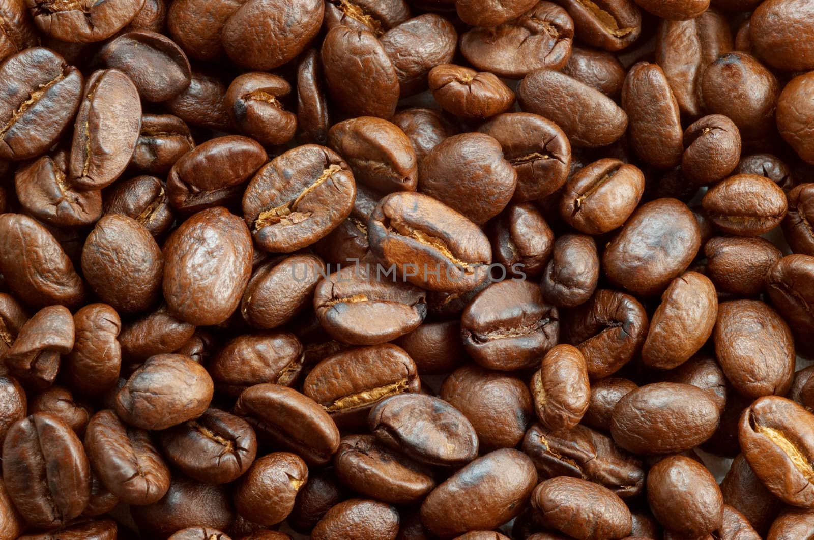 coffe beans texture 2 by starush