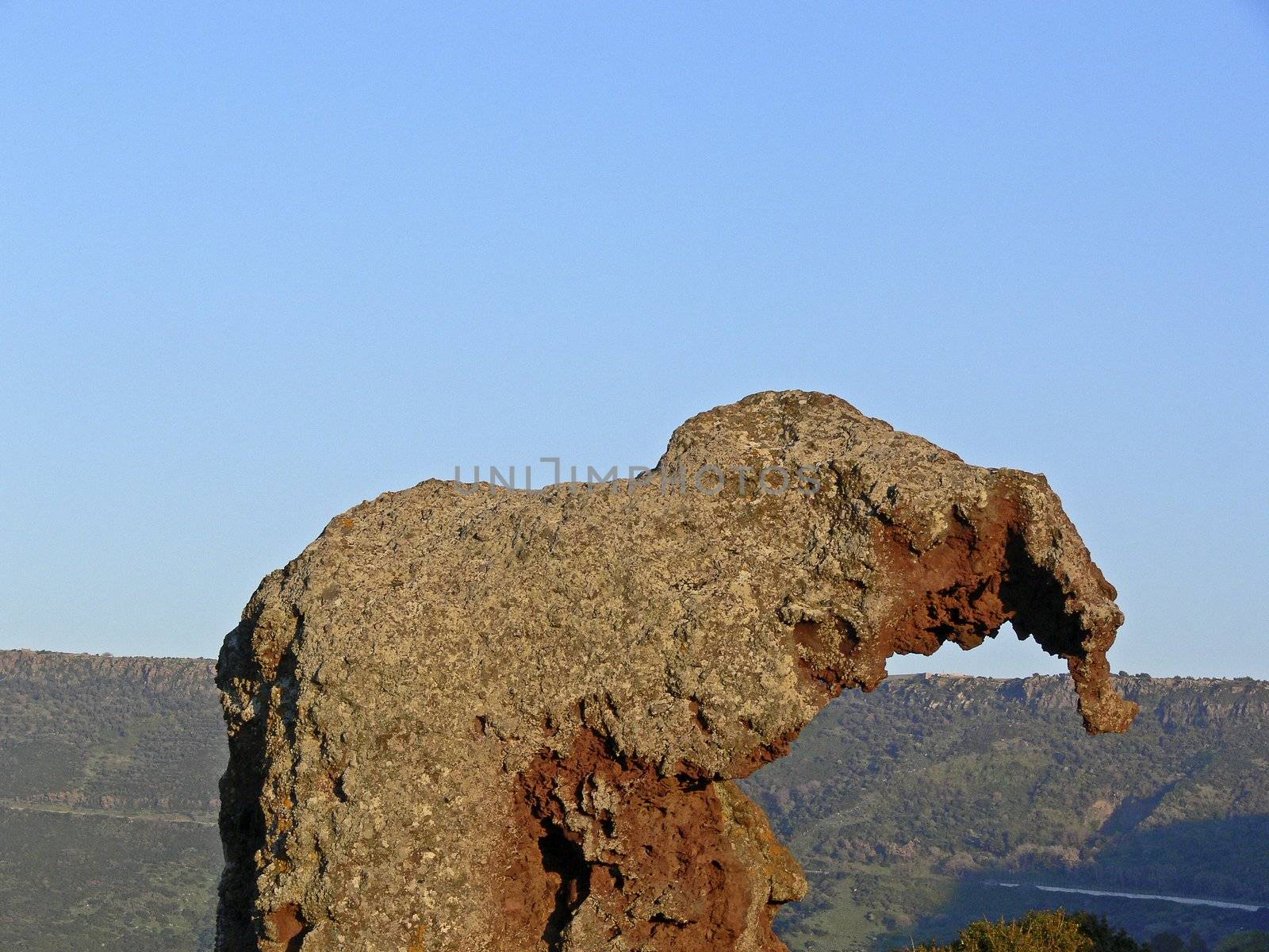 l'Elefante, Symbol of Sardinia near Castelsardo, Sardinis, Italy. Stone, Rock.
bei Castelsardo, l'Elefante, der Elefant, Gesteinsformen