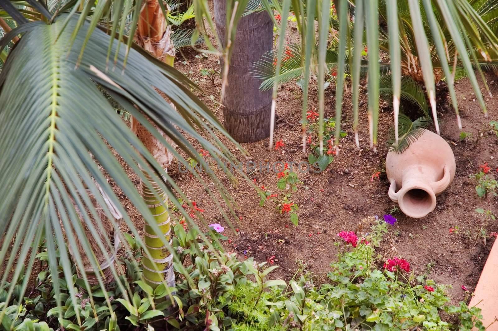 Jar in garden with flowers and palm-tree