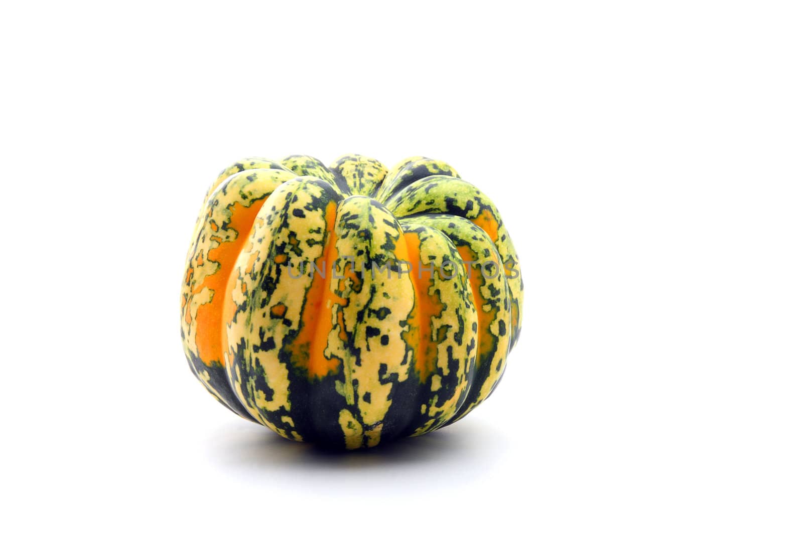 Colorful autumn orange and green squash isolated on white