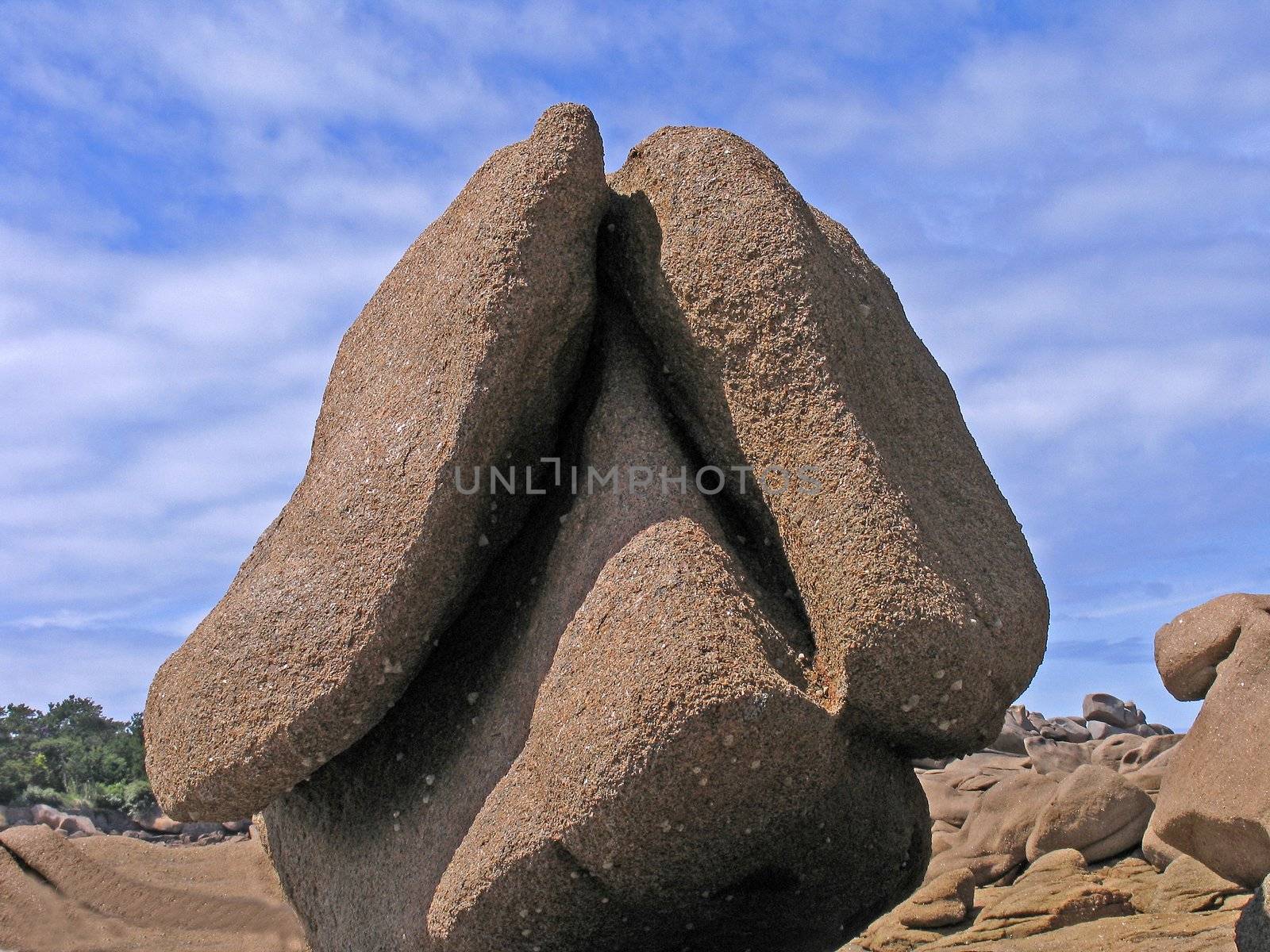 A Pig. Rocks on the Granite coast near Ploumanac'h, Brittany, North France