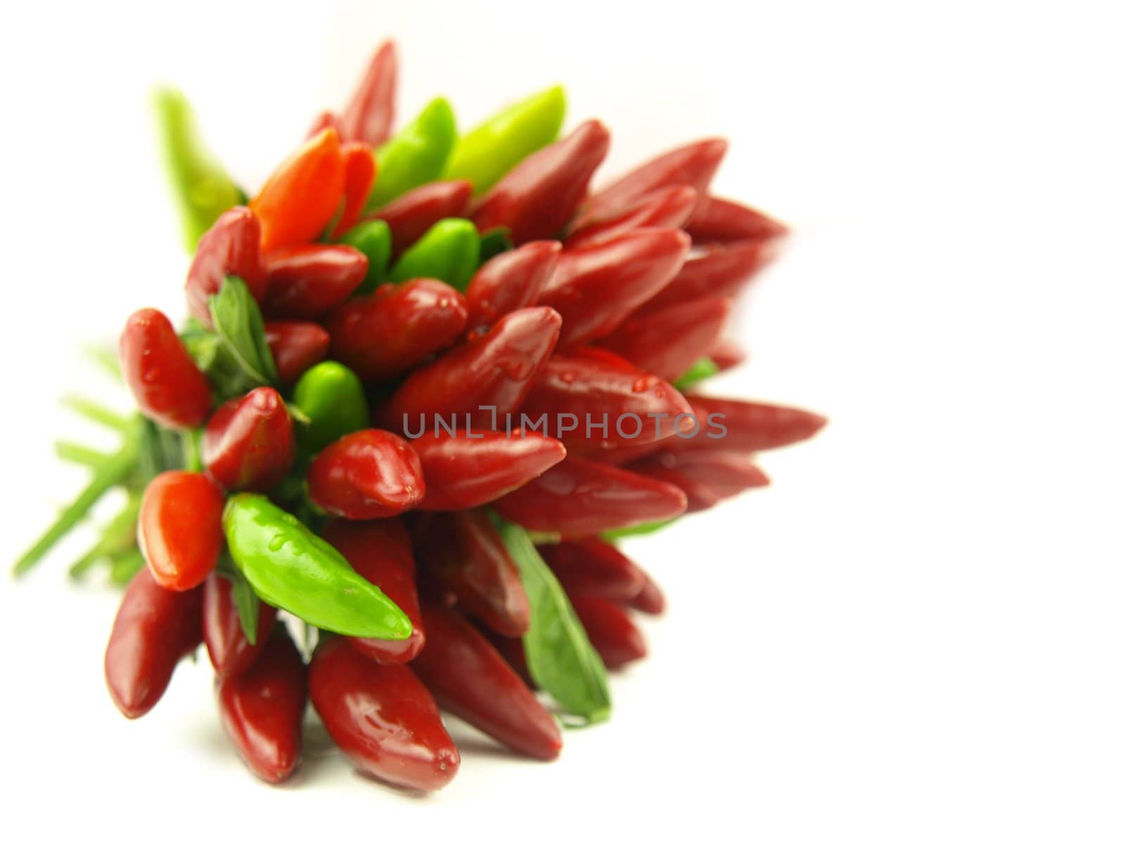 chili pepper and hot red pepper very close