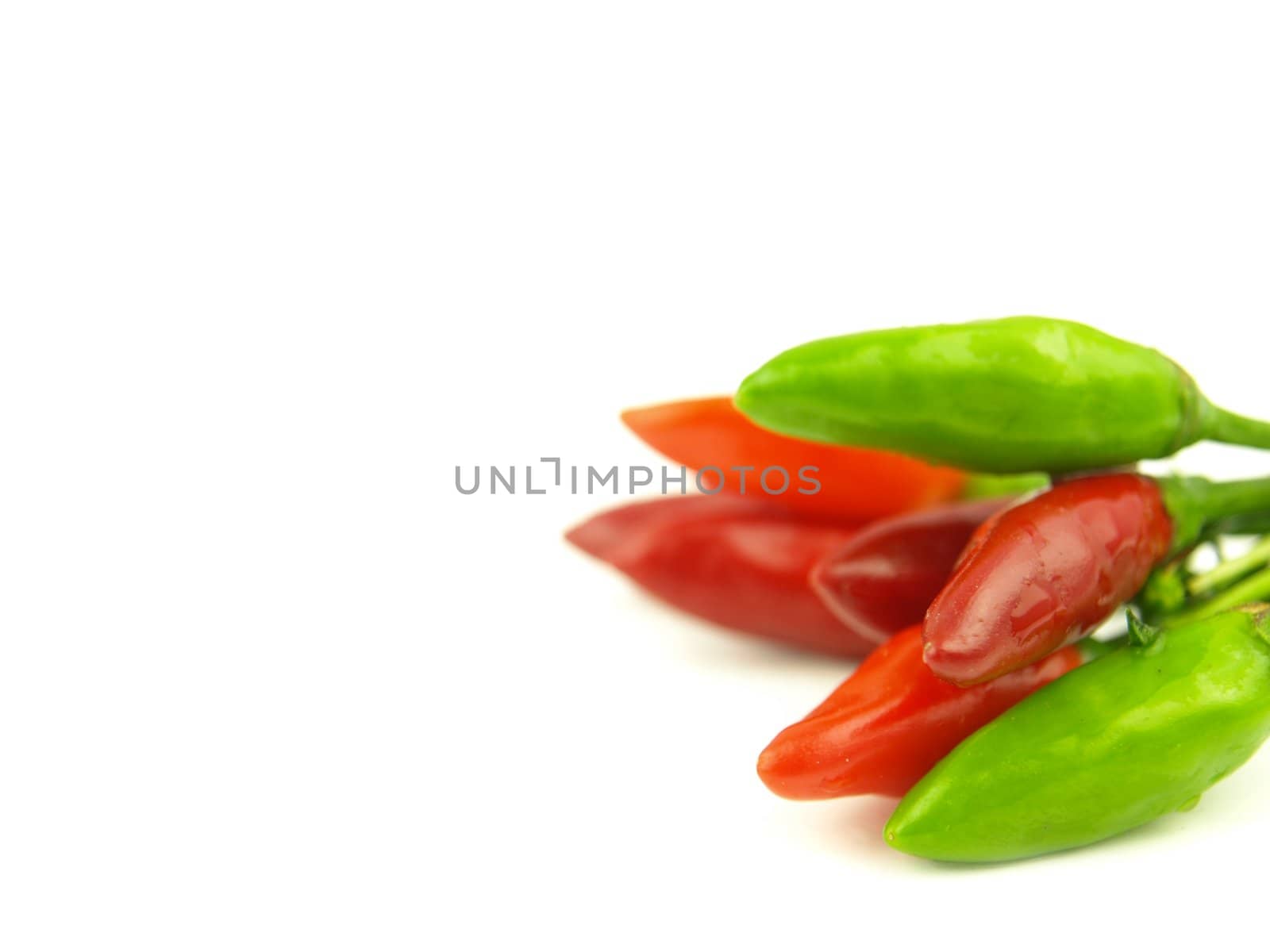 chili pepper and hot red pepper very close by luckyhumek