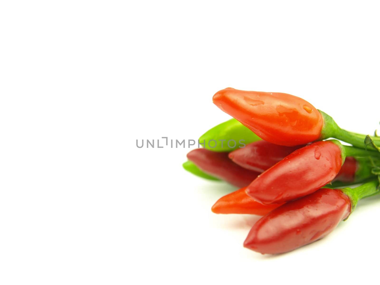 chili pepper and hot red pepper very close by luckyhumek