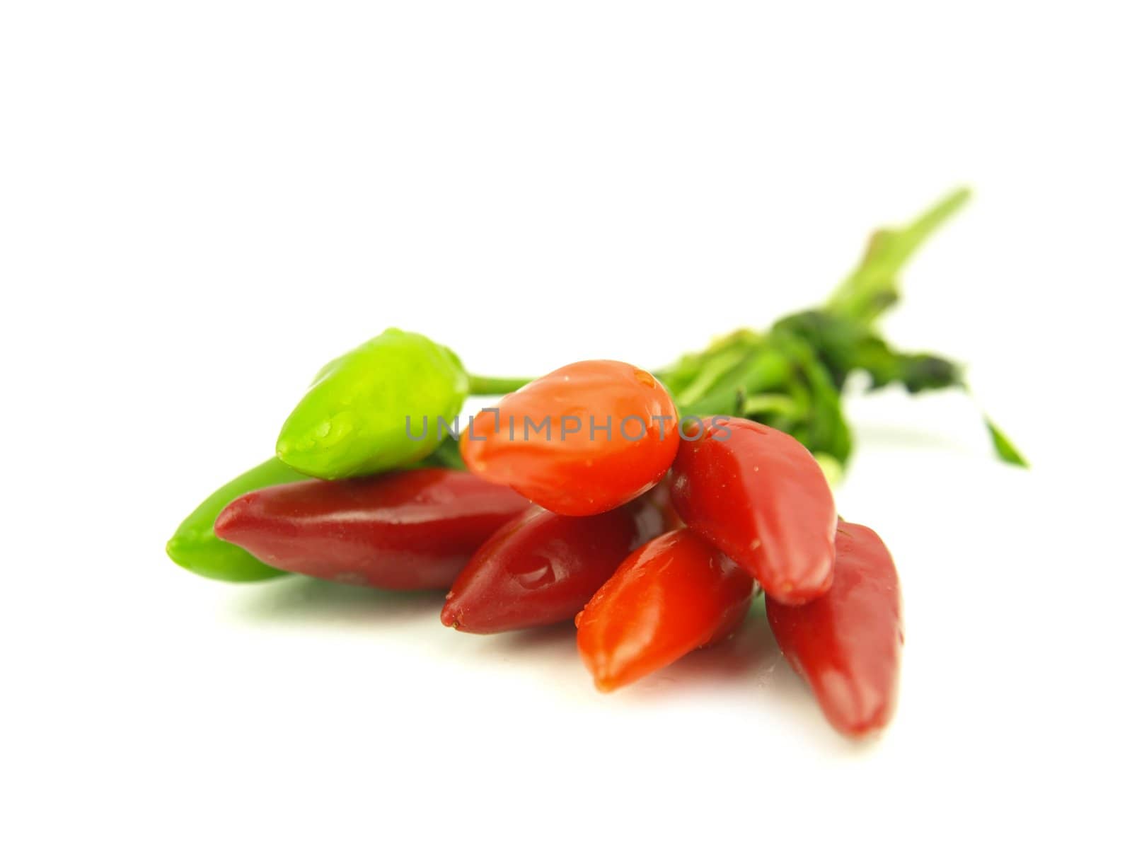chili pepper and hot red pepper very close by luckyhumek