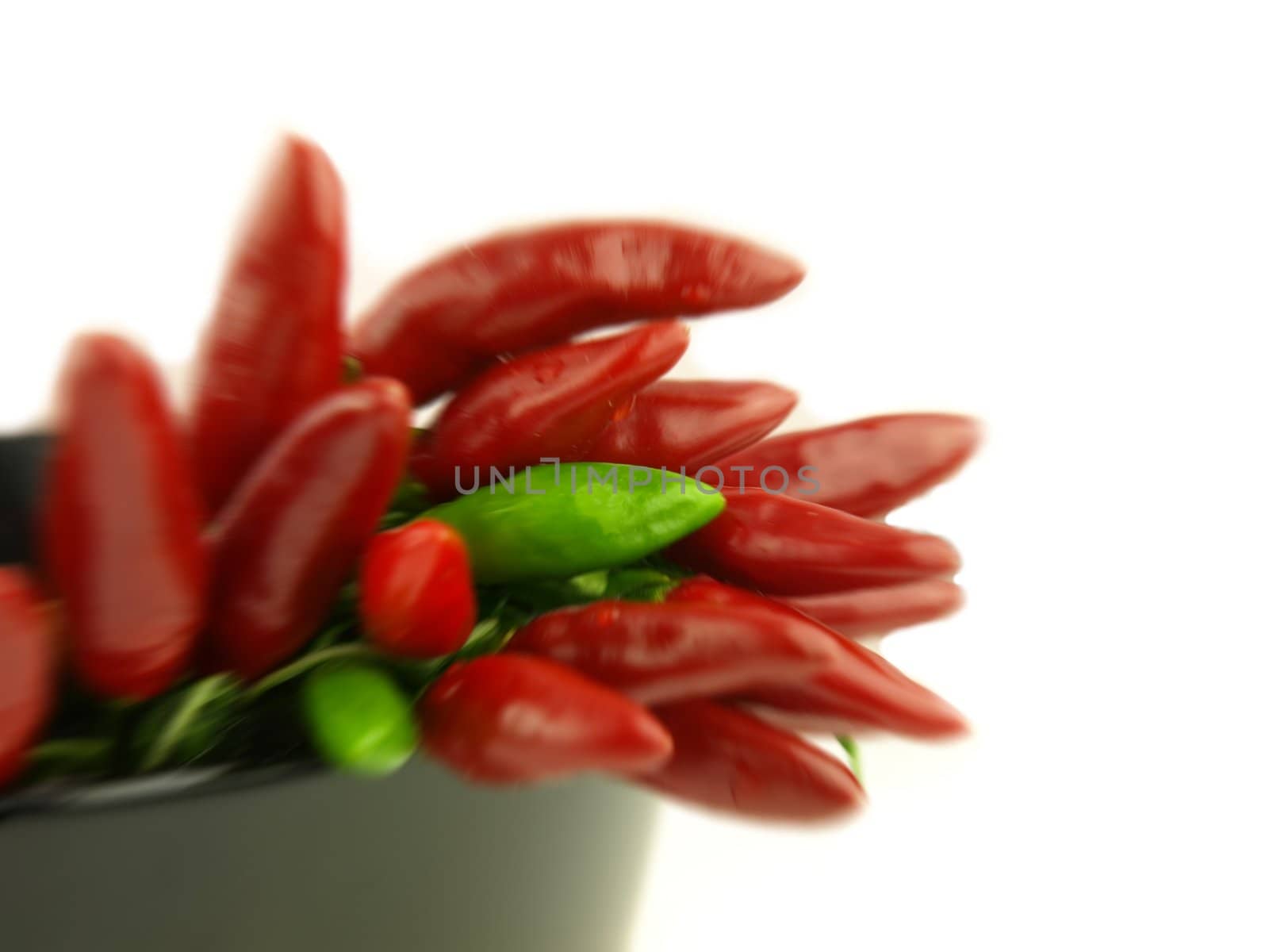 chili pepper and hot red pepper very close by luckyhumek