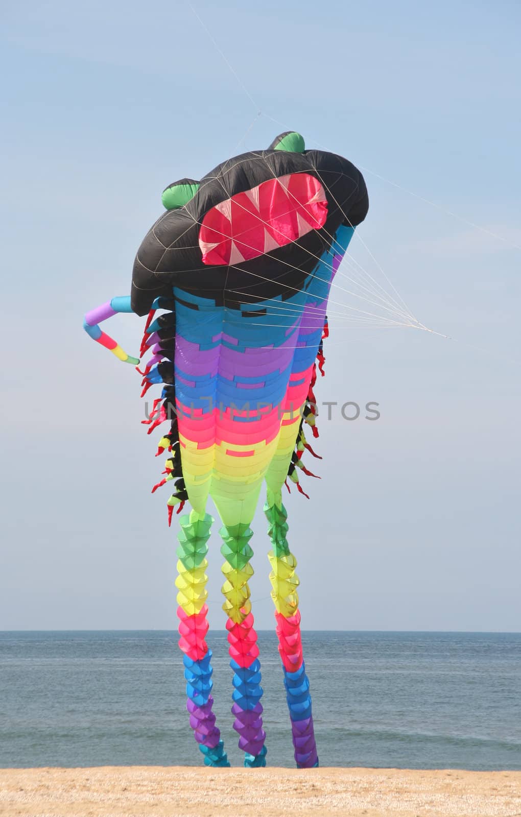 Giant kite at the European Kite Festival in Scheveningen