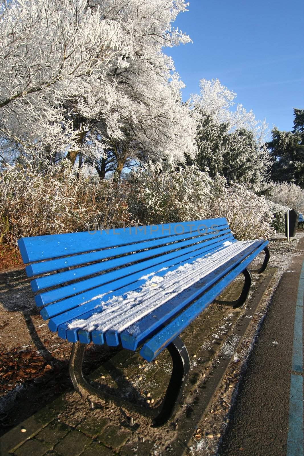 Bench in the park in winter, trees white with frost