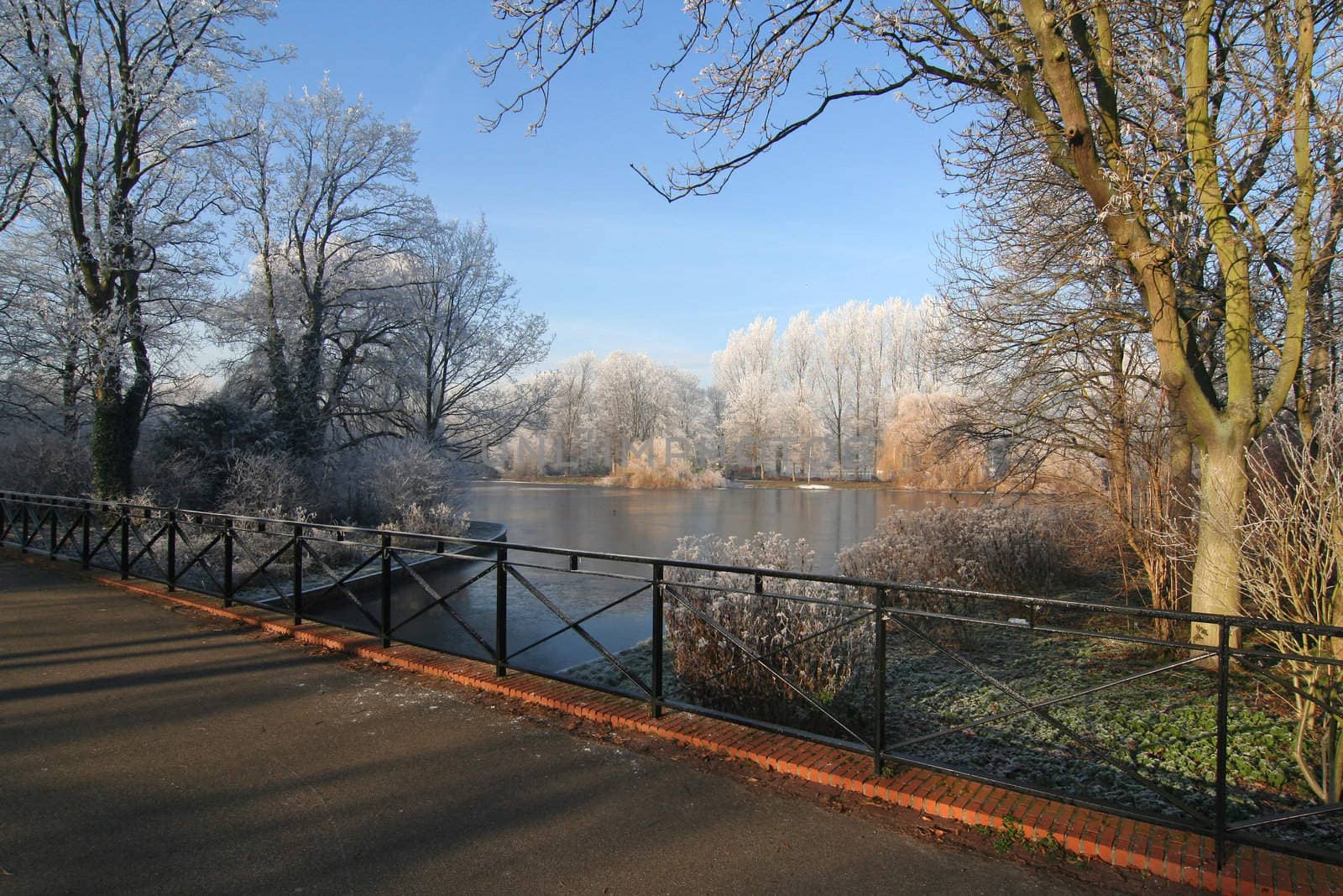 Winter in the Park, with frost on trees