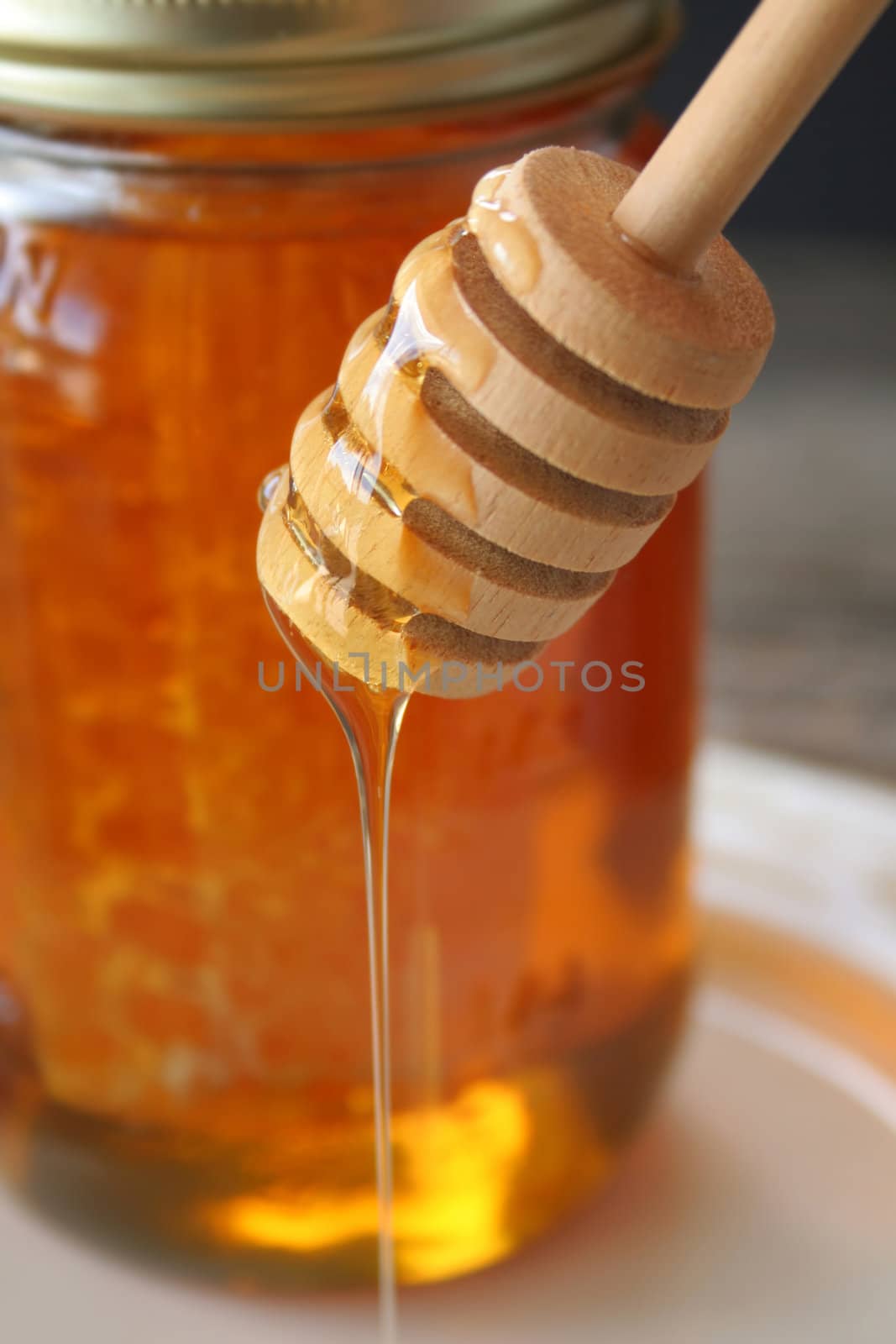 Close up of a honey dipper with honey dripping from it.