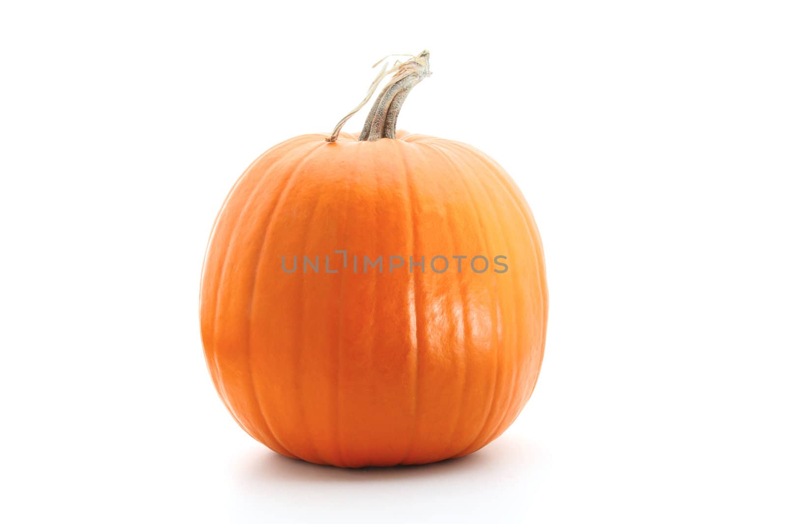Orange pumpkin isolated on white by svanblar