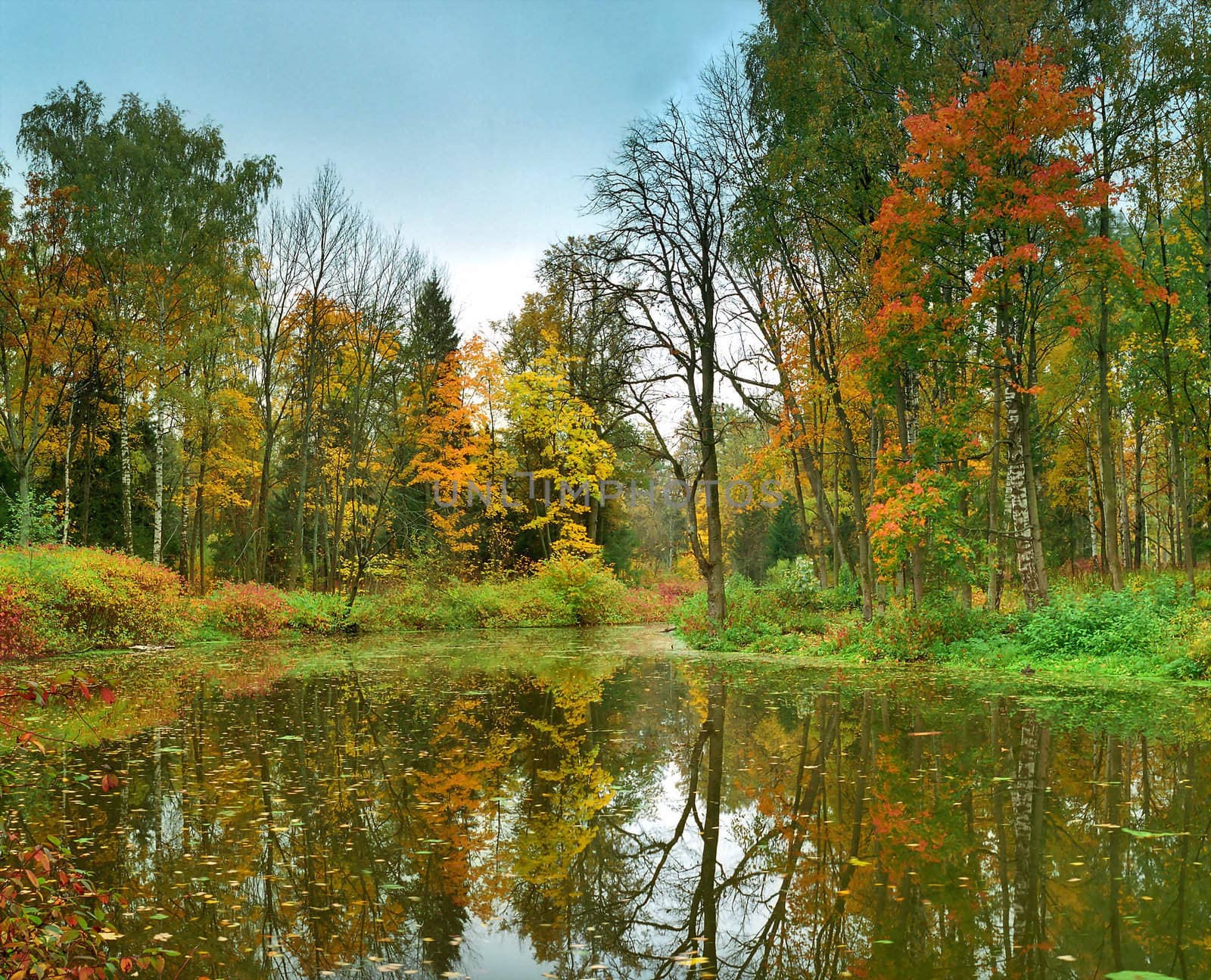 Panorama of autumn park with the pond