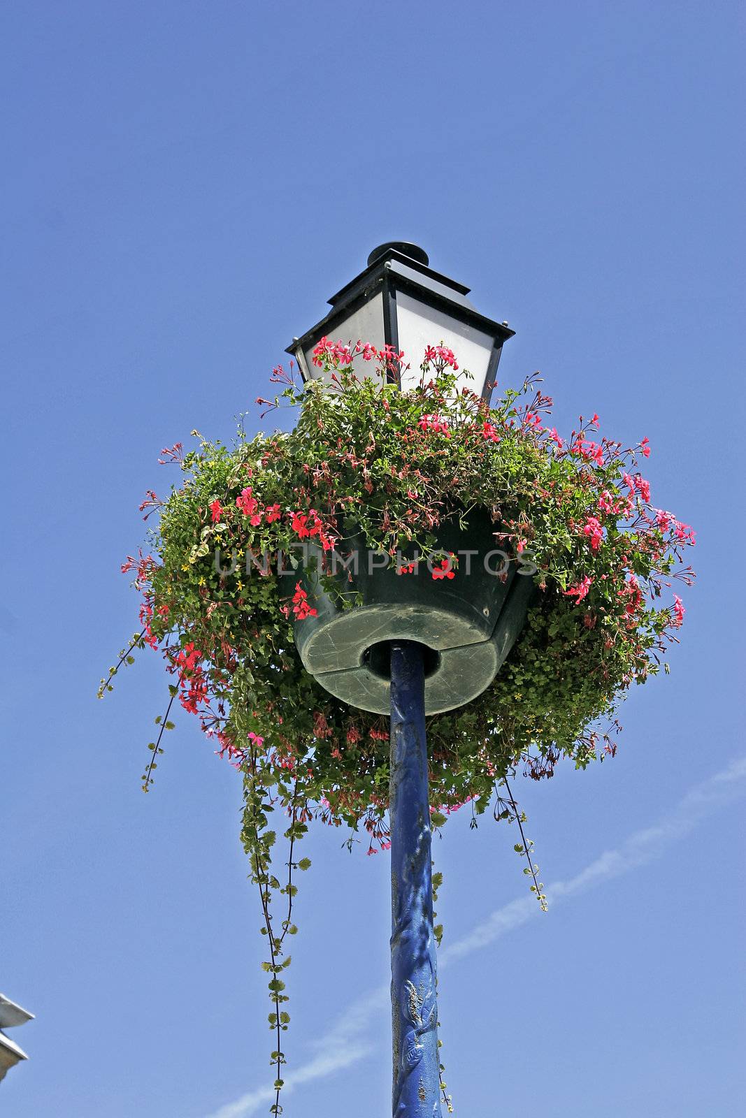 A Lantern with flowers in Erdeven, Brittany, North France. Erdeven, Straßenlaterne mit Blumen.