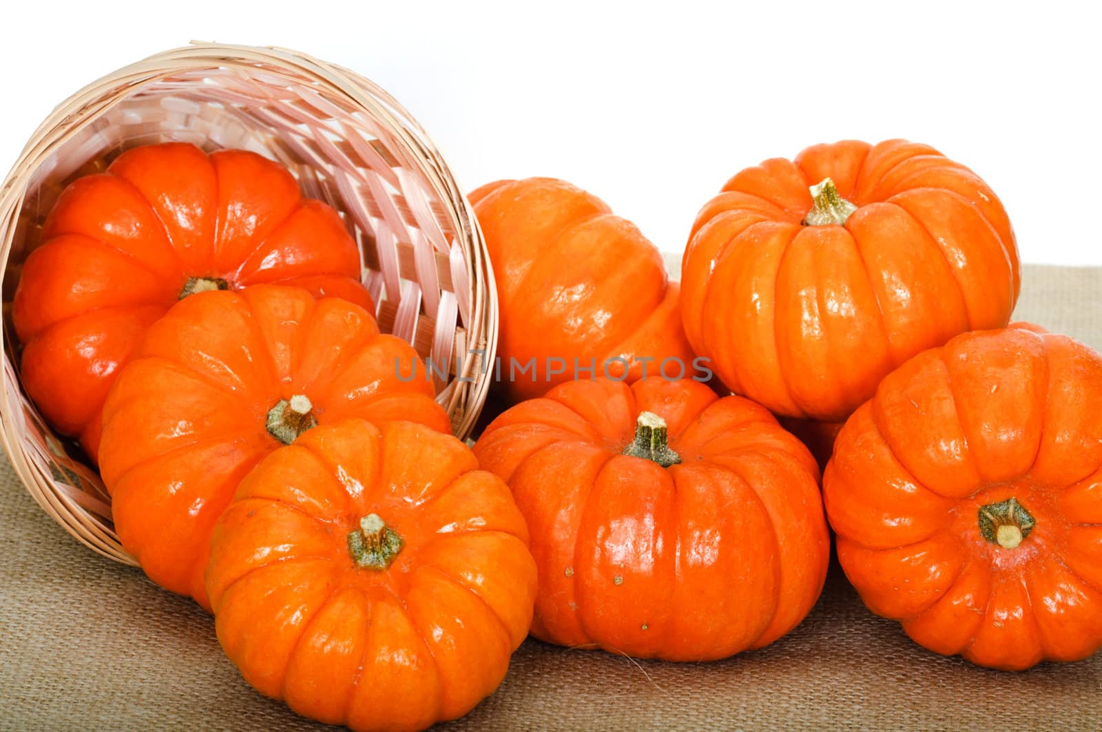 Close up composition of pumpkins, nuts and corns on the table.