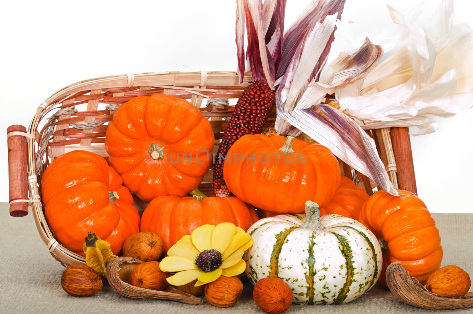 Close up composition of pumpkins, nuts and corns on the table. by lobzik