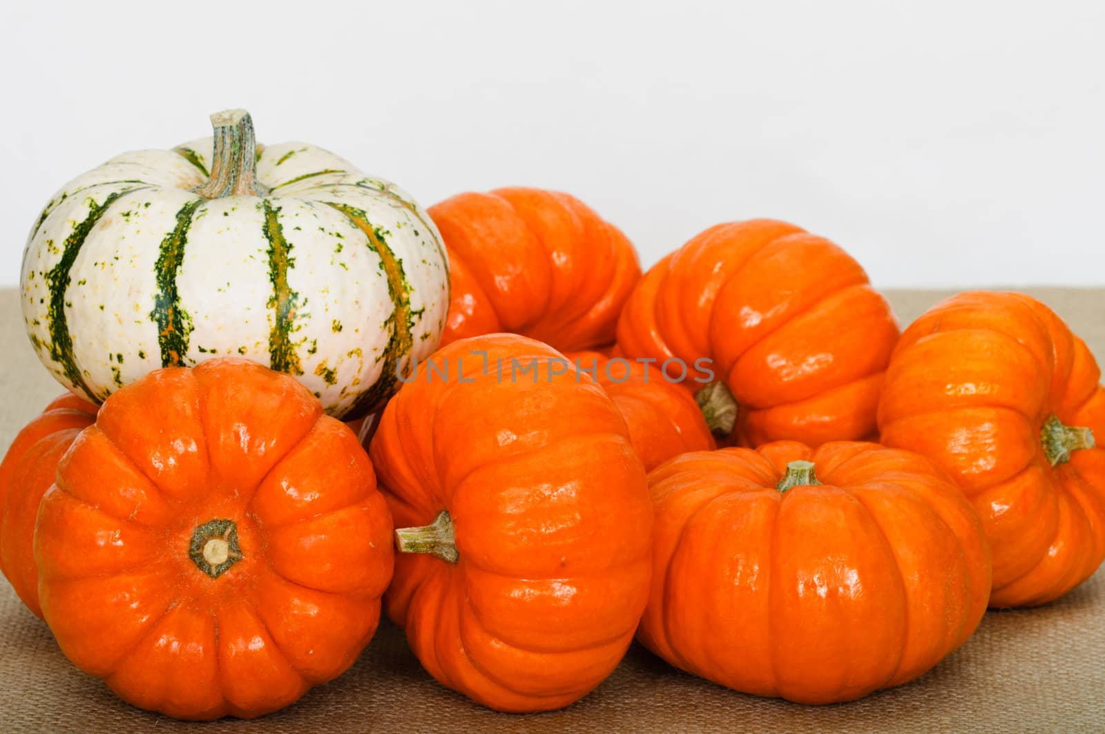 Close up composition of pumpkins, nuts and corns on the table.
