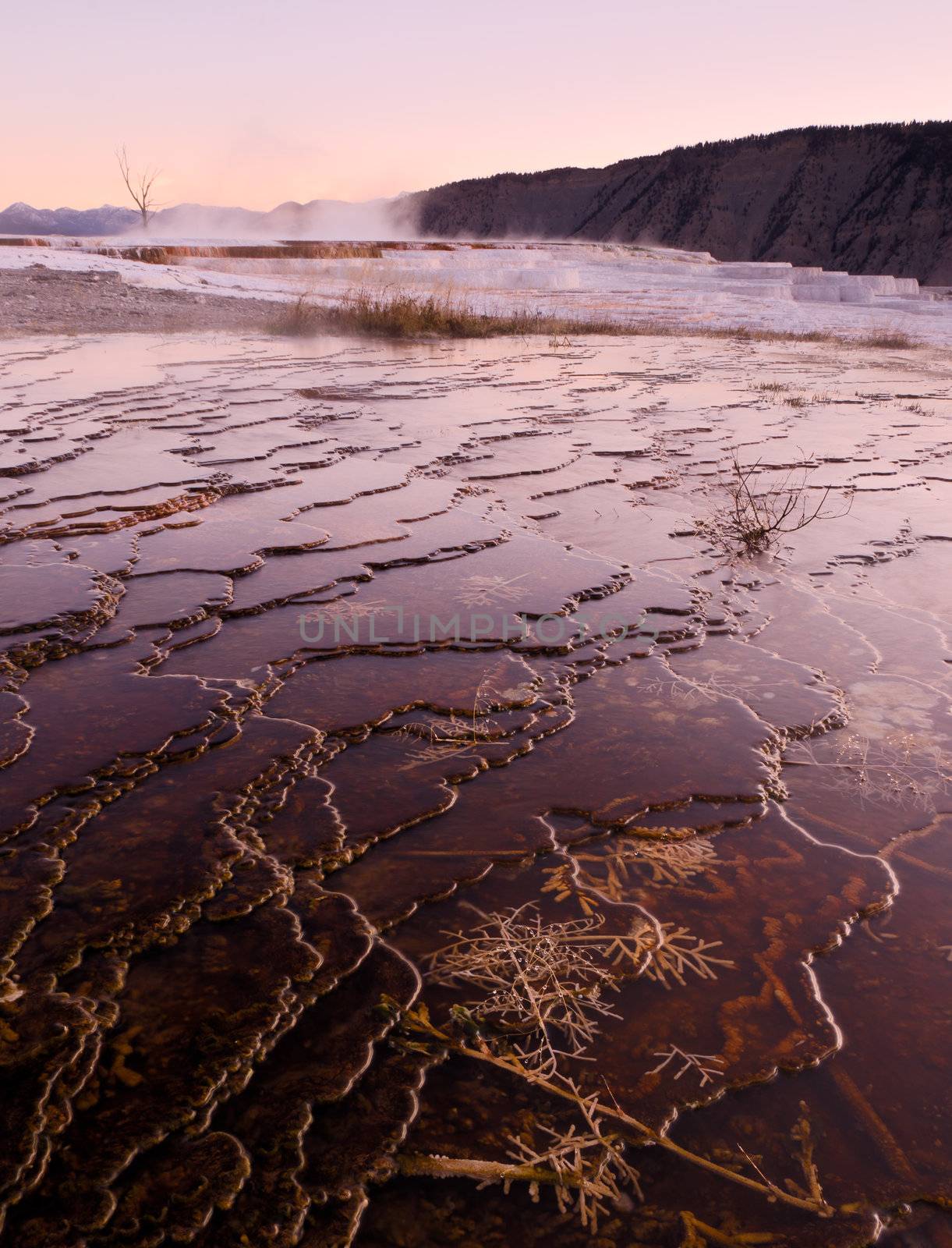 The Upper Terraces of Mammoth Hot Springs on an autumn morning, Yellowstone National Park, Wyoming, USA