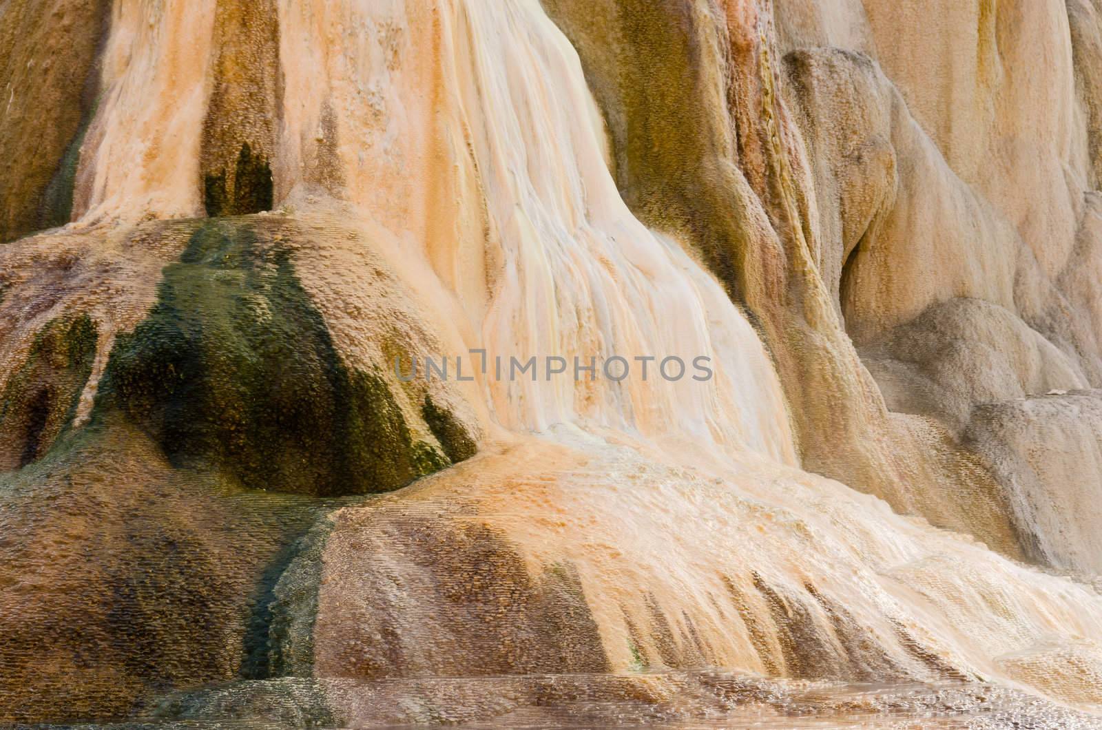 Detail of Mound Terrace, Mammoth Hot Springs, Yellowstone National Park, Wyoming, USA by CharlesBolin