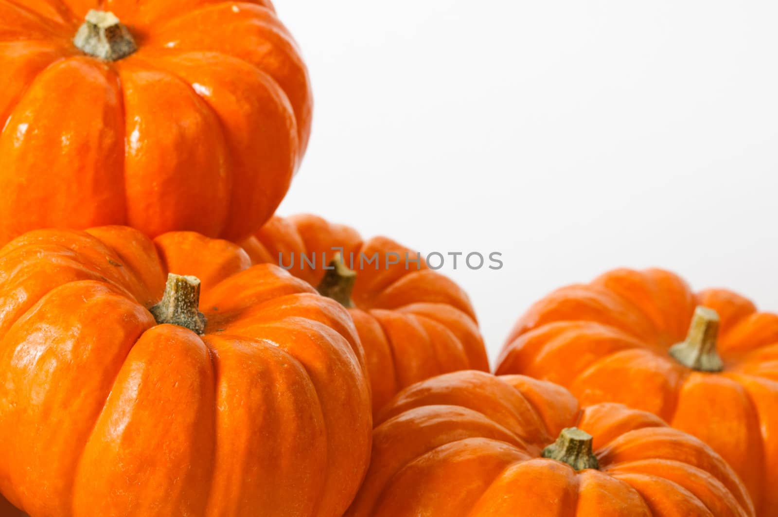 Close up composition of pumpkins on a white background.