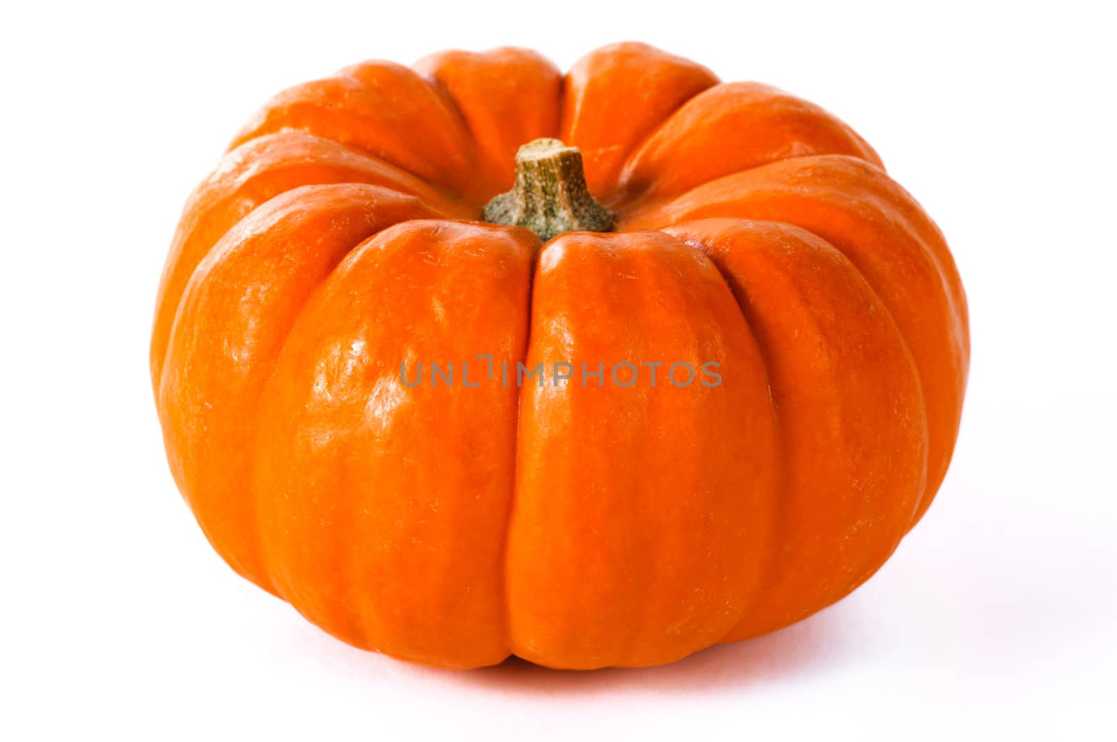 Close up pumpkin on a white background. by lobzik