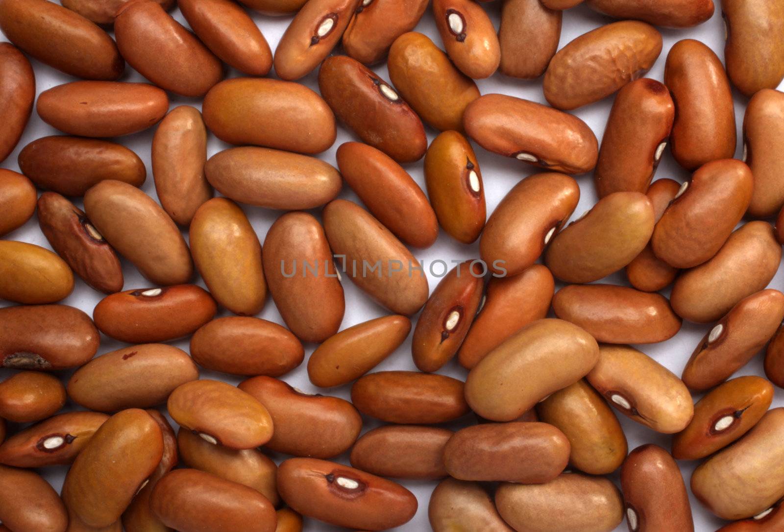 Brown beans