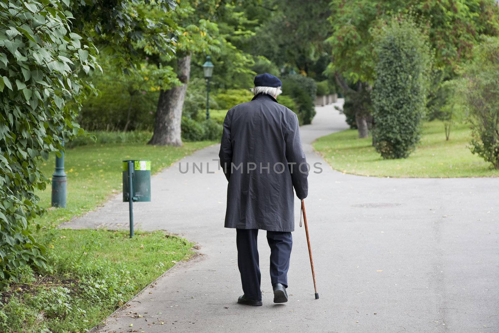 Senior morning walk in a Vienna park at summertime.