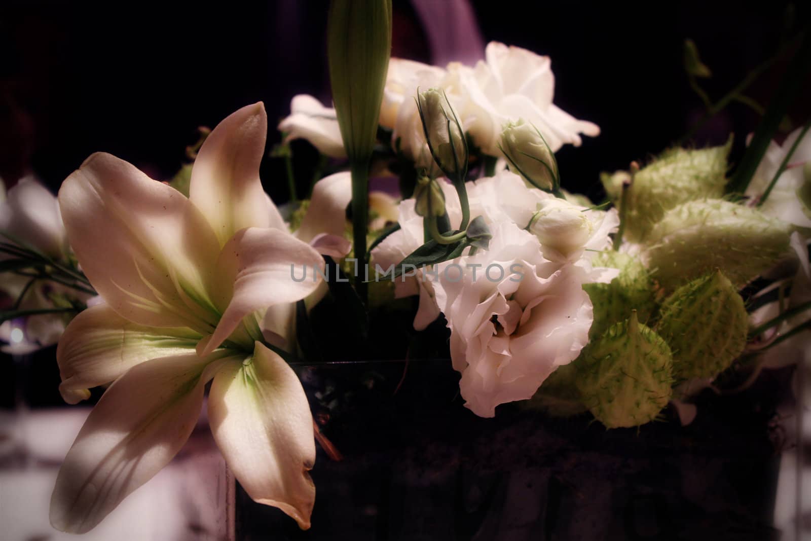 White Flower Life Cycle