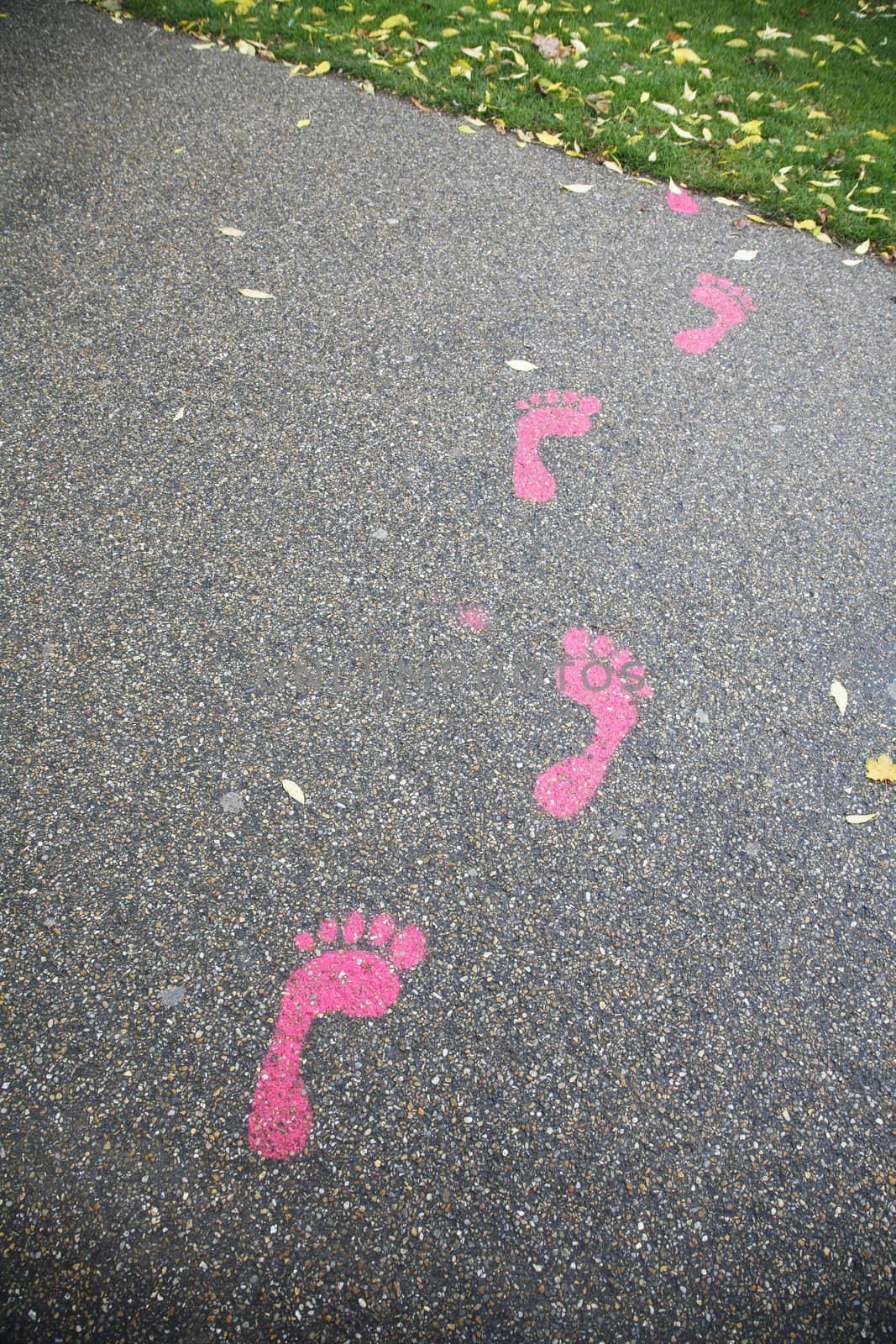 Autumn walk in wet pink paint