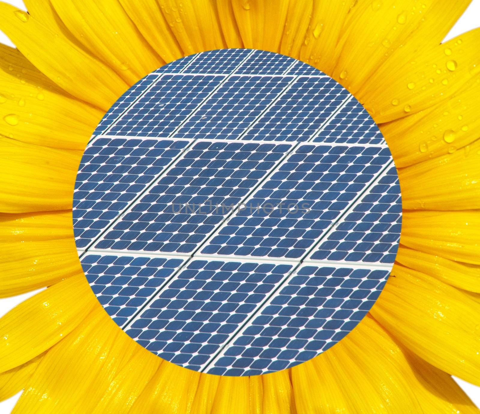 Sunflower macro with photovoltaic panel in the middel