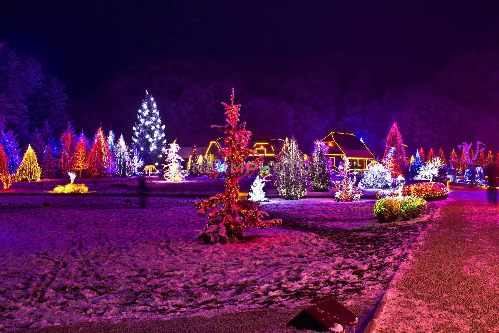 Christmas lights in town park - fantasy colors by xbrchx