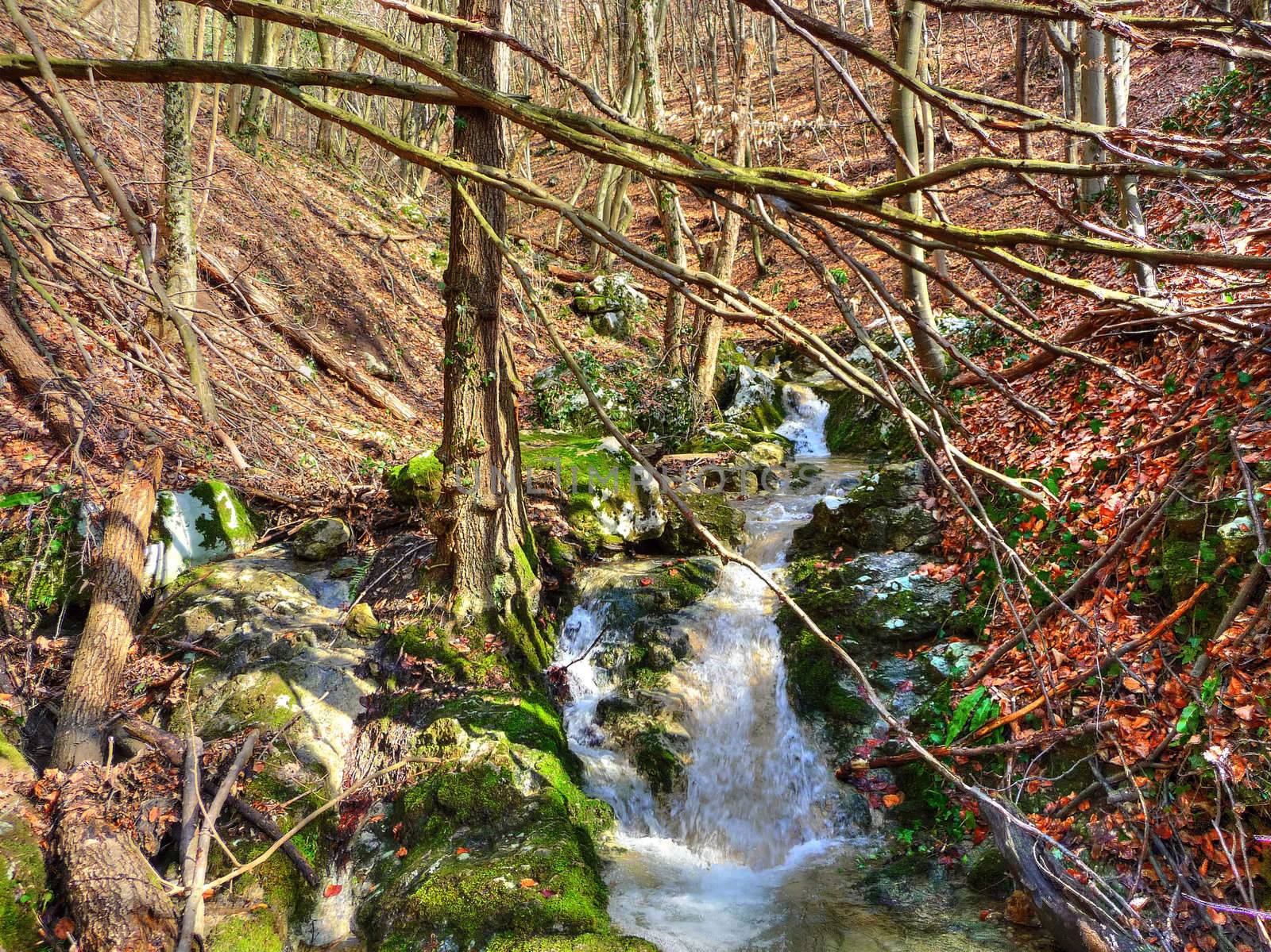 Late winter beautiful mountain creek - colorful nature by xbrchx