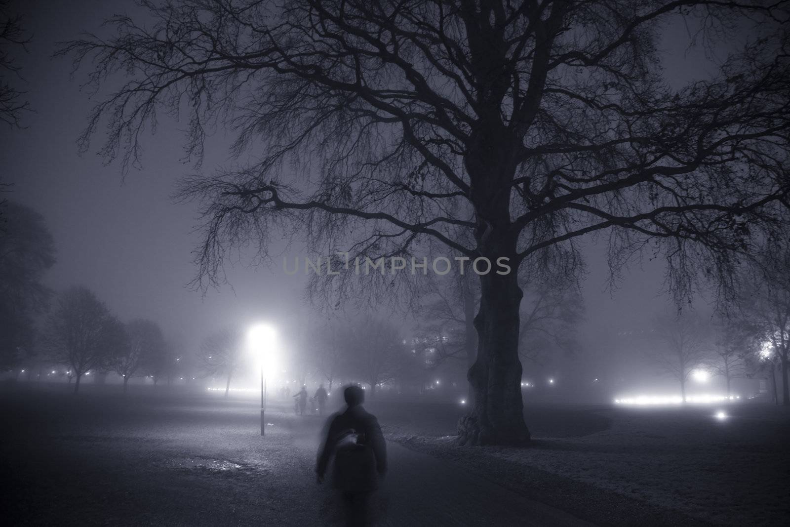 Foggy winter evening in the park. Motion blur. 1600 ISO