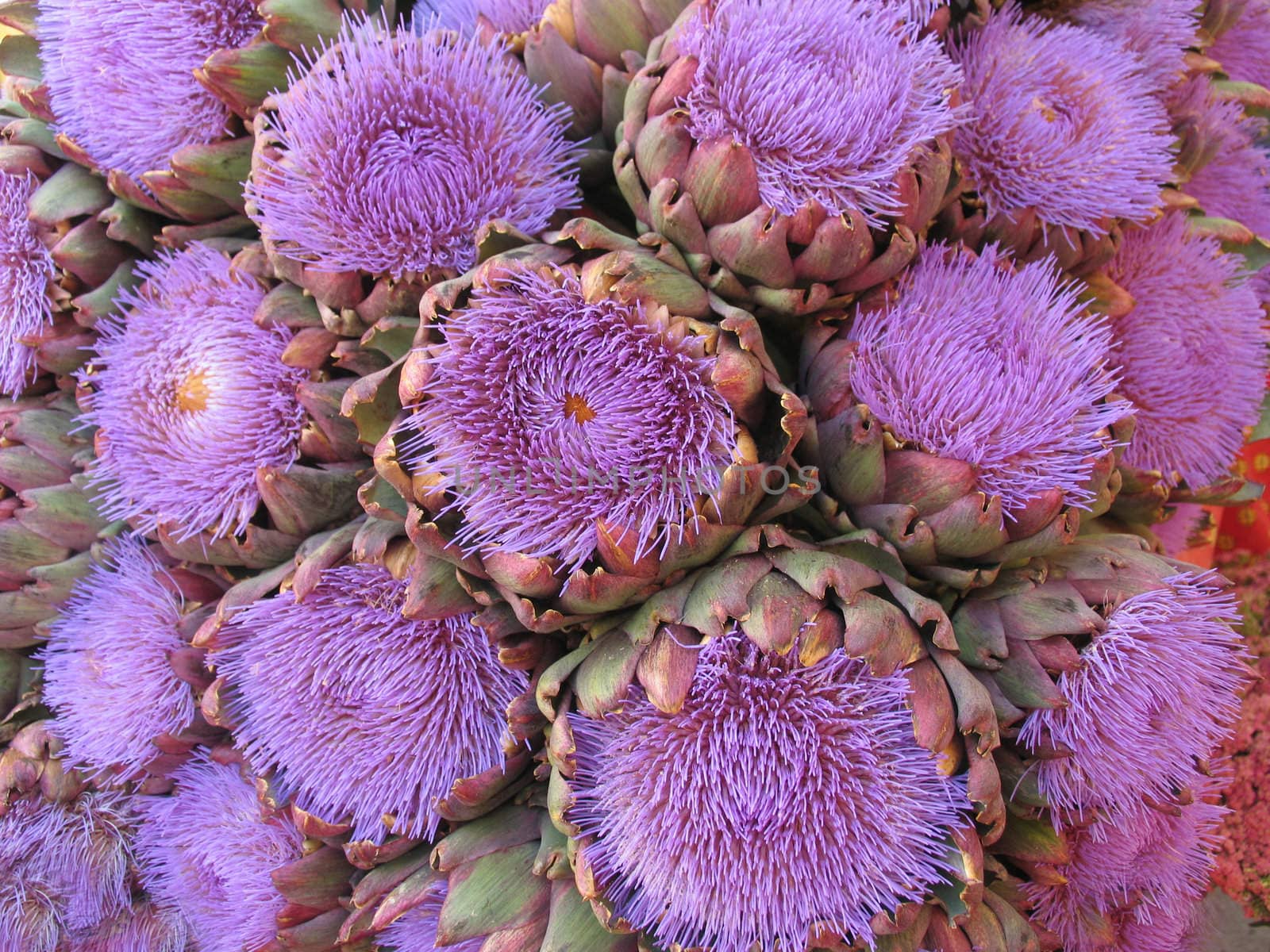 Detail from a French market place.