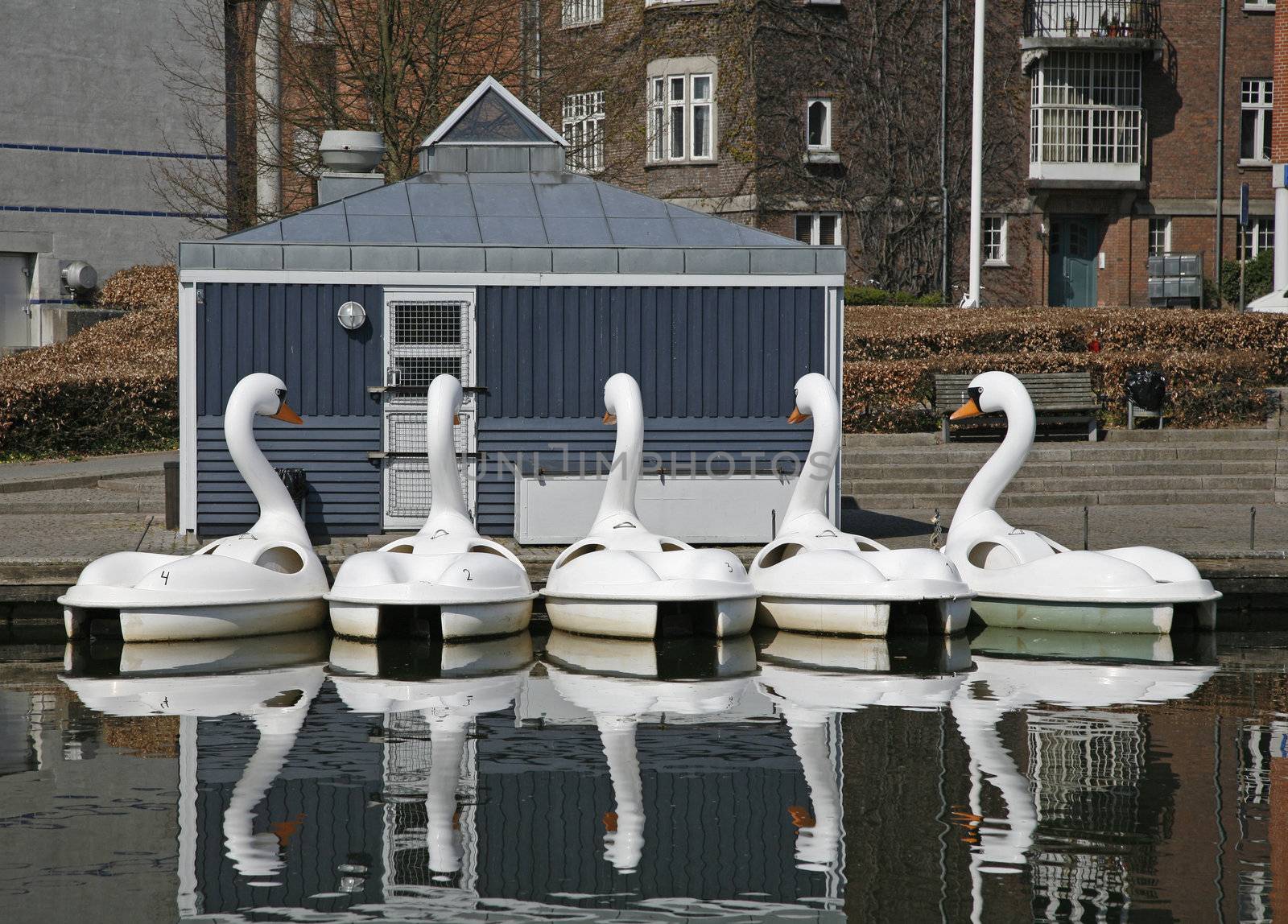 Pedal boats for hire. Made like swans in a fairytale of Hans Christian Andersen. Odense - Denmark