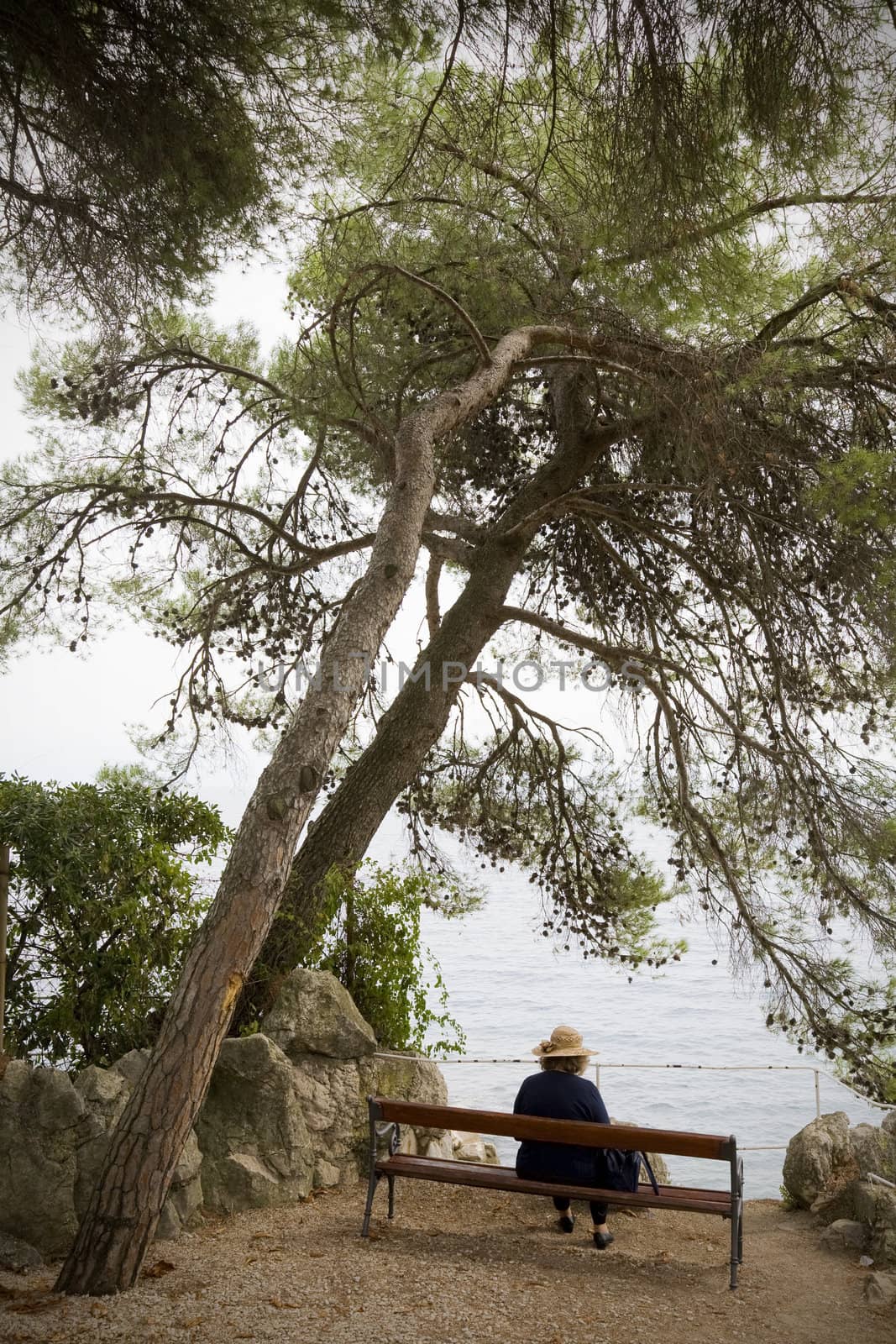 Female by the sea by ABCDK