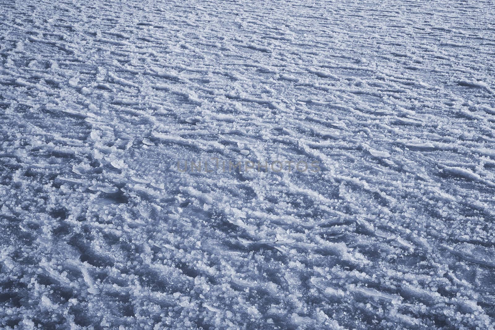 Ice covered harbour in January - Denmark. Useful as a winter background.