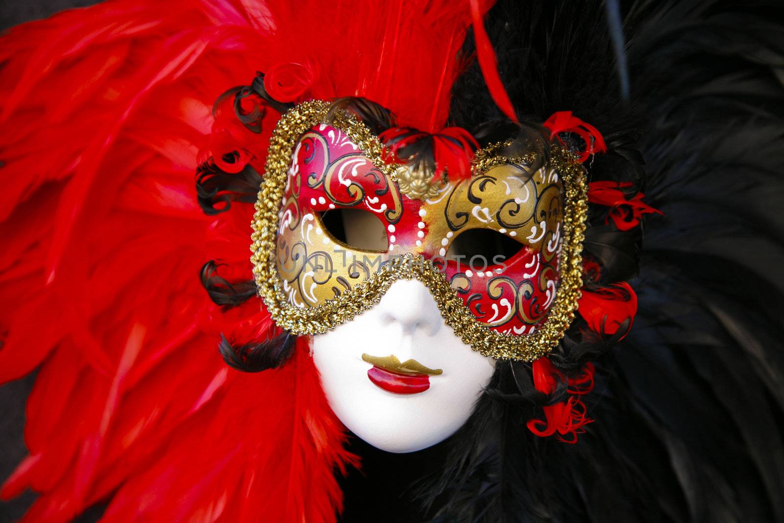 Carnival mask with red feathers - Venice, Italy.