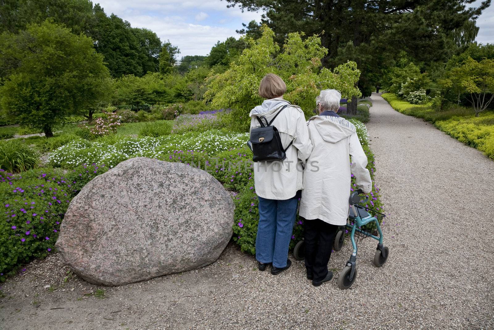 Two generations looking at flowers in Culture Botanical Garden Odense, Denmark.