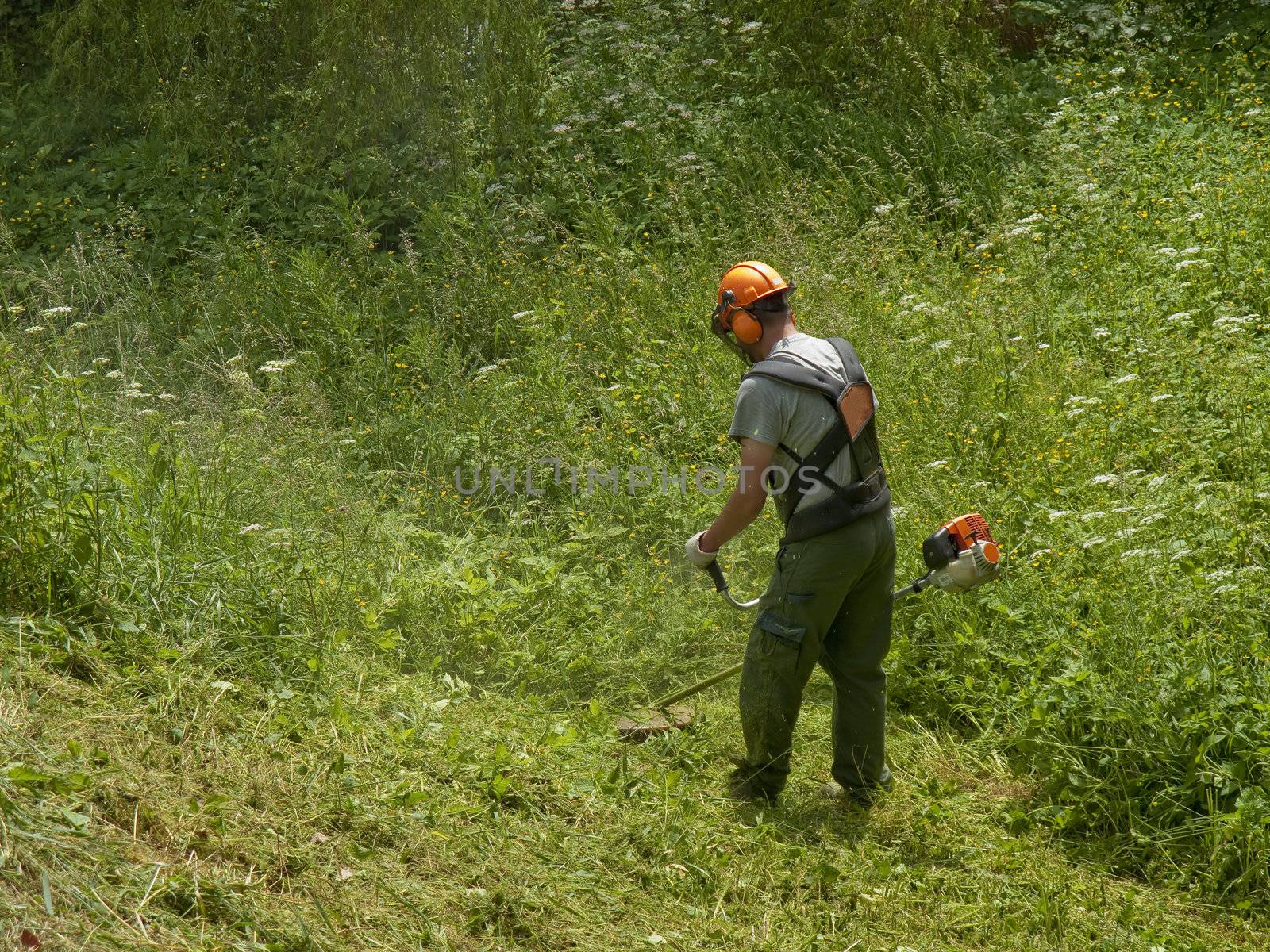 Man cutting high grass by ABCDK