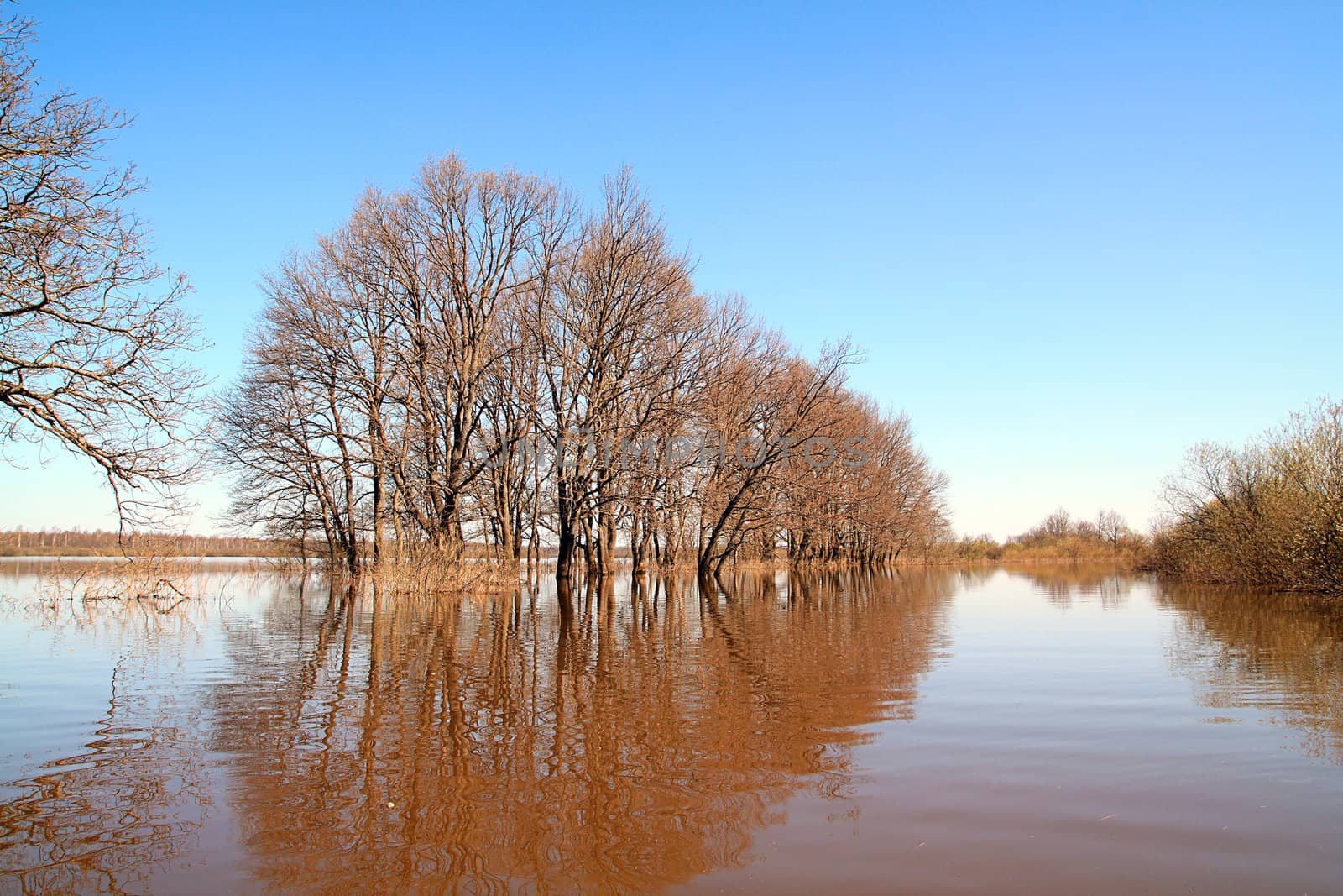 flood in wood