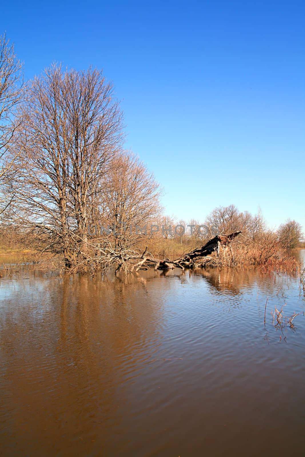 flood in wood