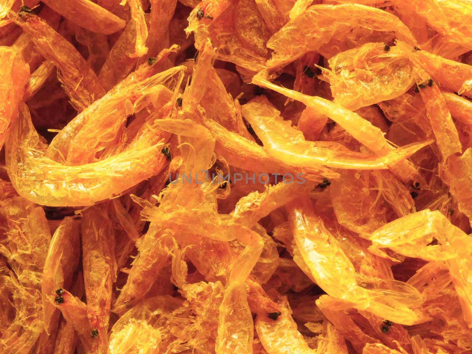 dried shrimps by zkruger