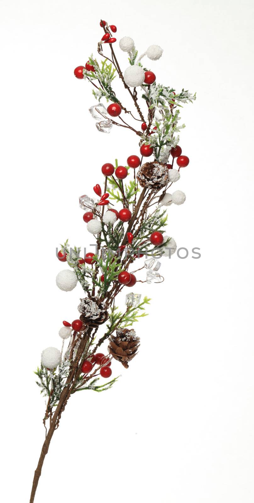 Image of a winter decorated little branch against a white background. Such decoration is used during the Saint Nicholas day and night in December in some parts of the world.