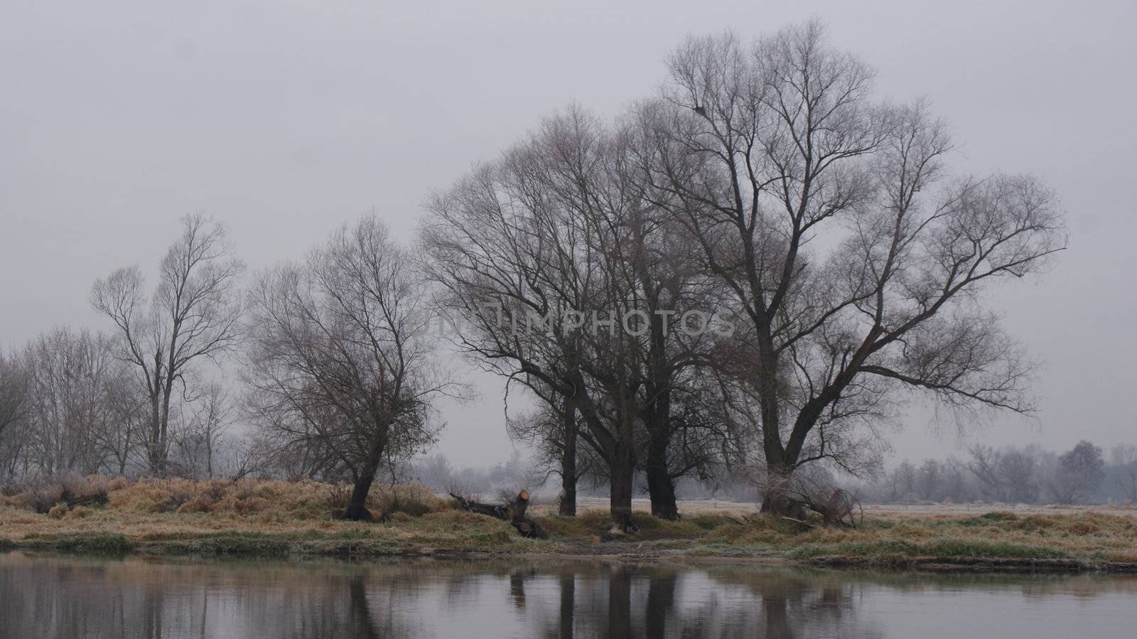 autumn landscape by mariola_garula