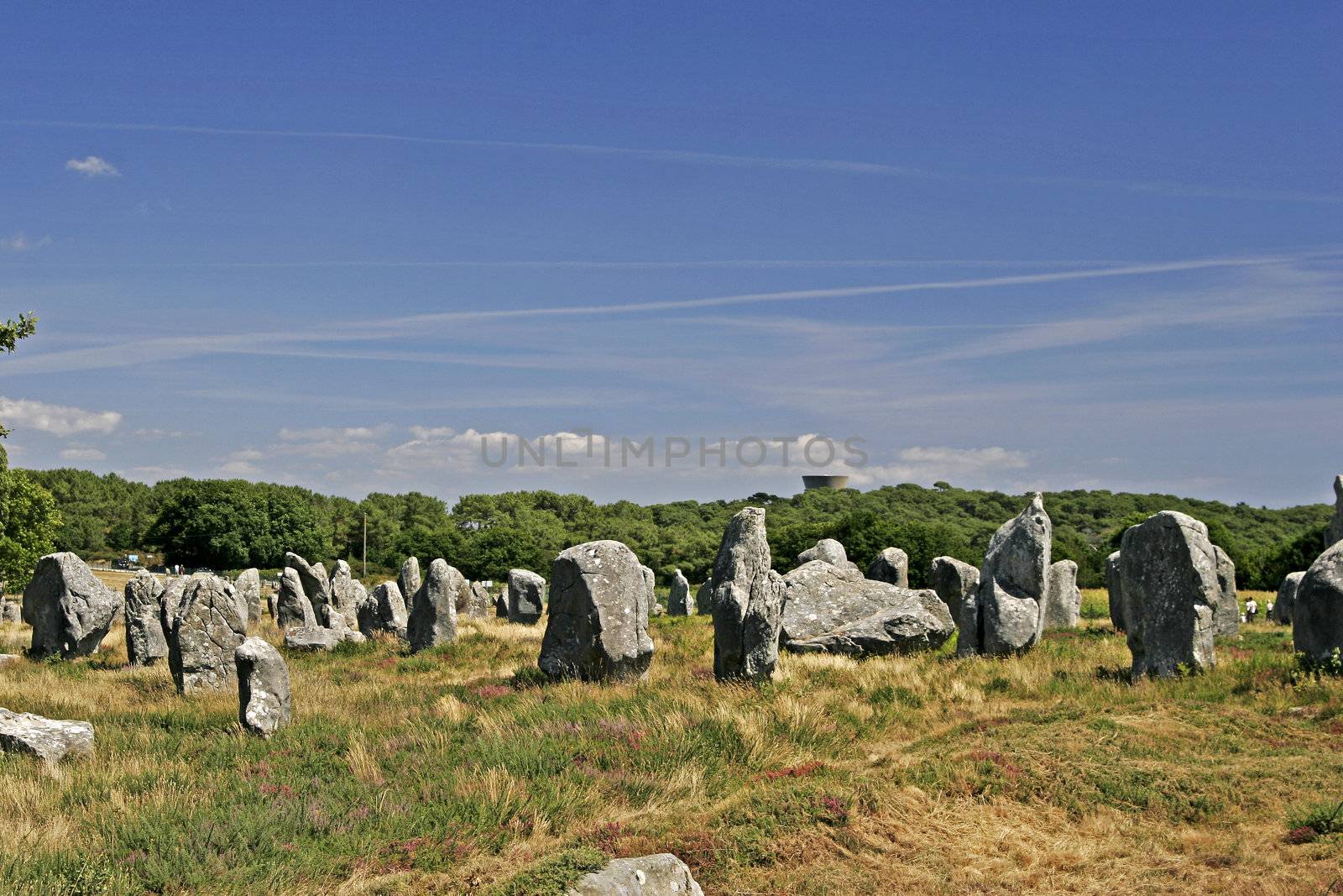 Kermario, Megaliths, stone graves near Carnac, Morbihan, Brittany, North France.